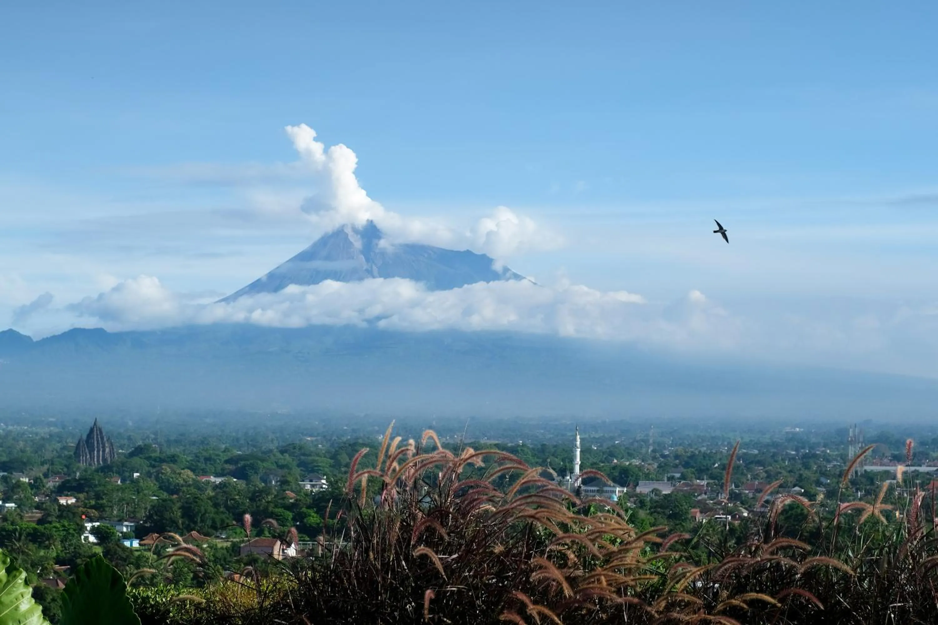 Natural landscape in Abhayagiri - Sumberwatu Heritage Resort
