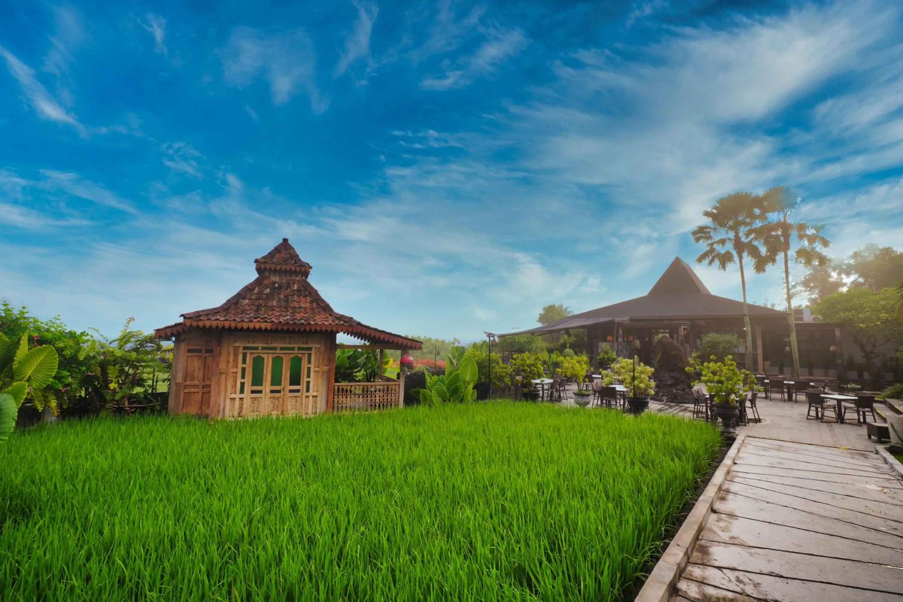 View (from property/room) in Abhayagiri - Sumberwatu Heritage Resort