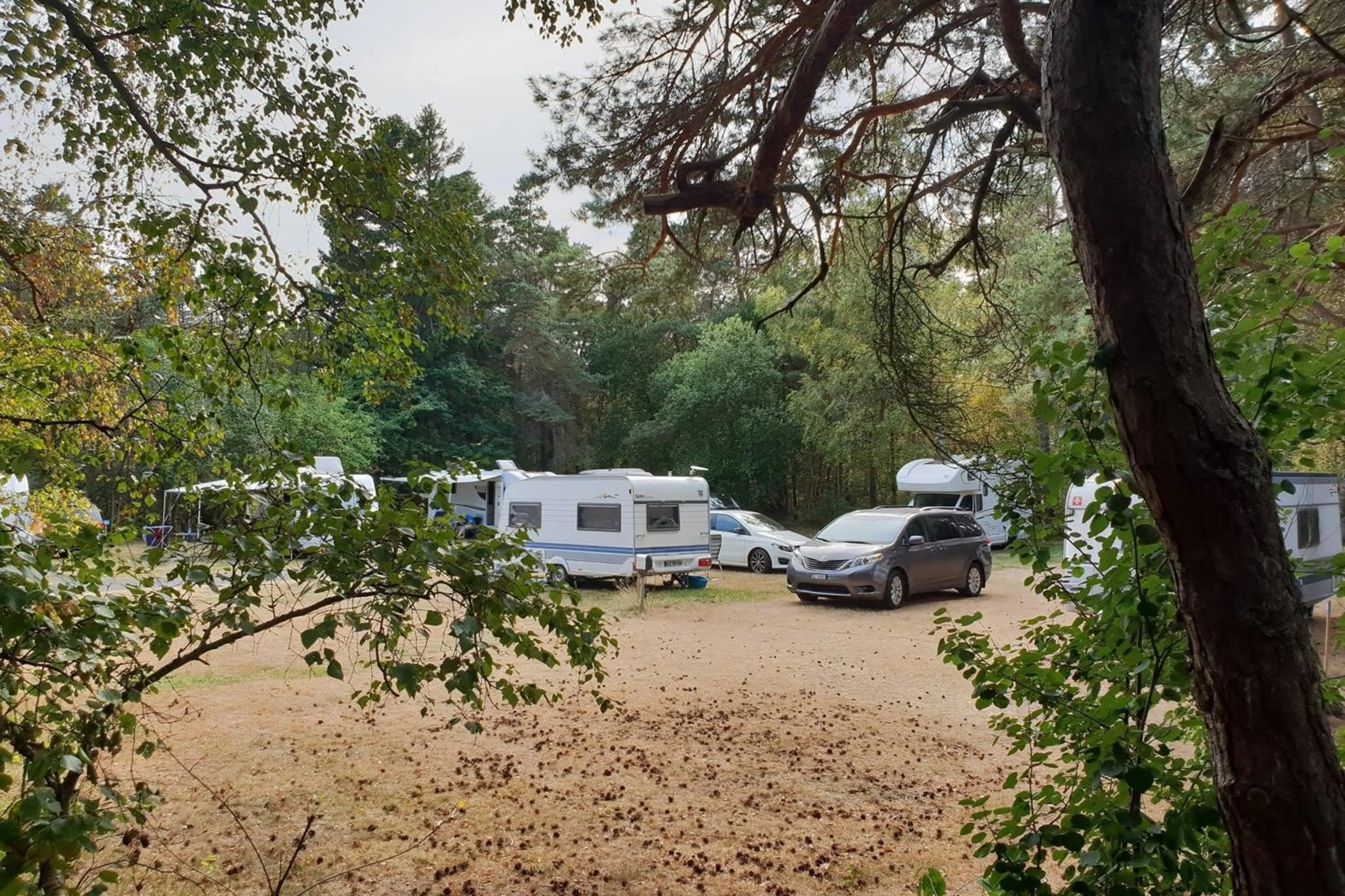 First Camp Lilleby