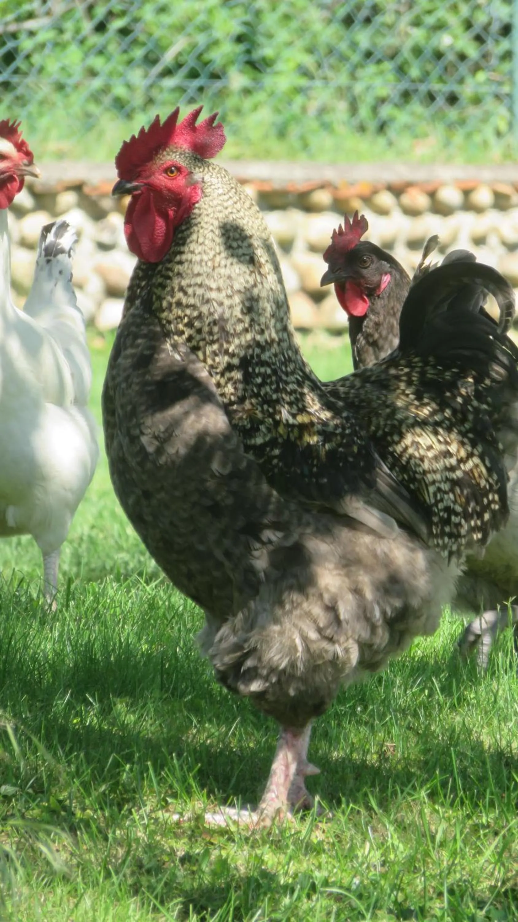 Property building in A la belle histoire