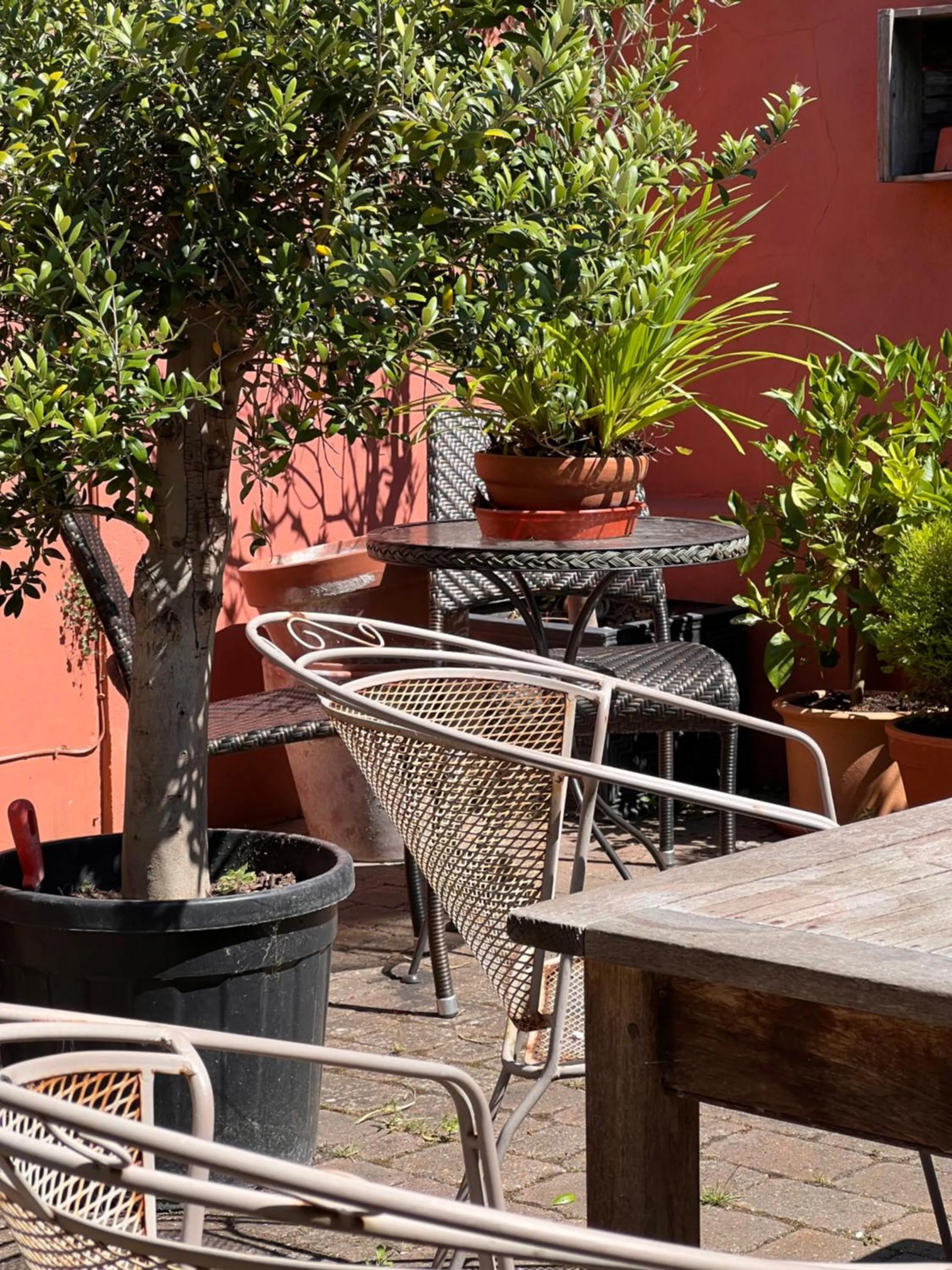 Summer in The Royal Harbour Hotel