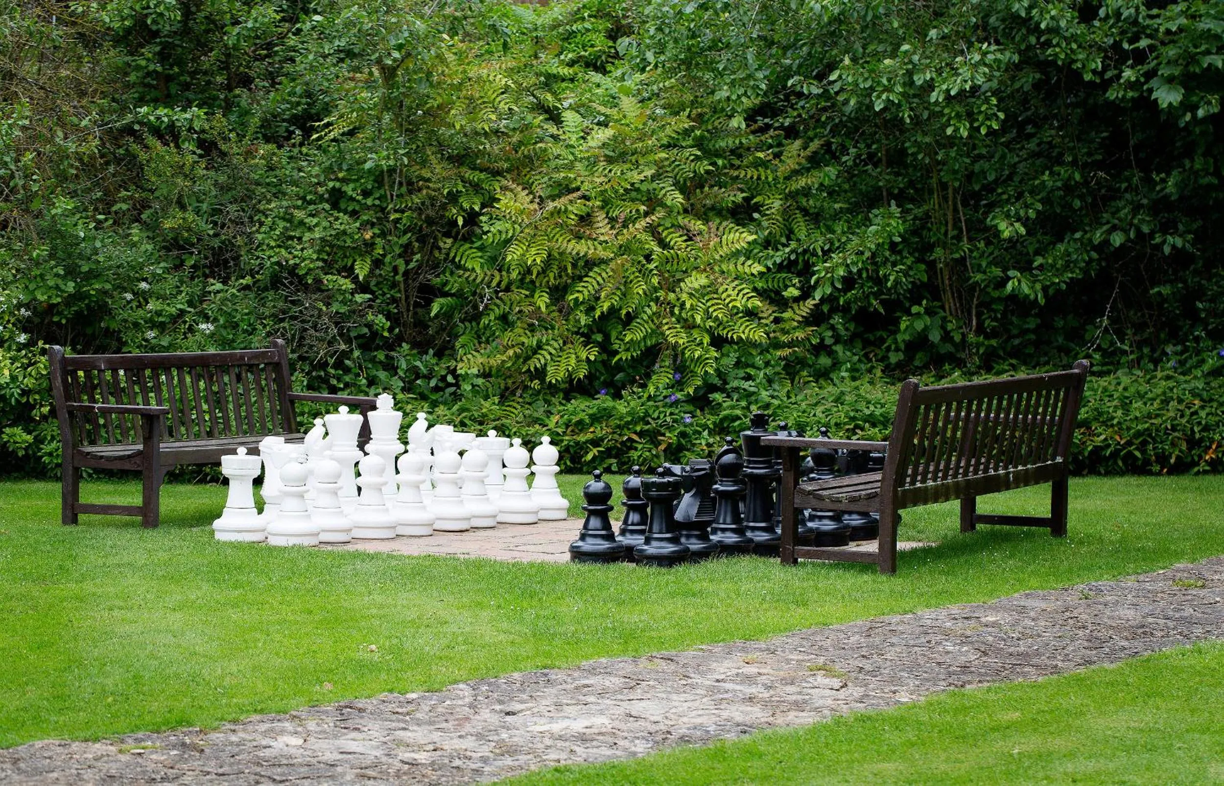 Activities in Old Swan