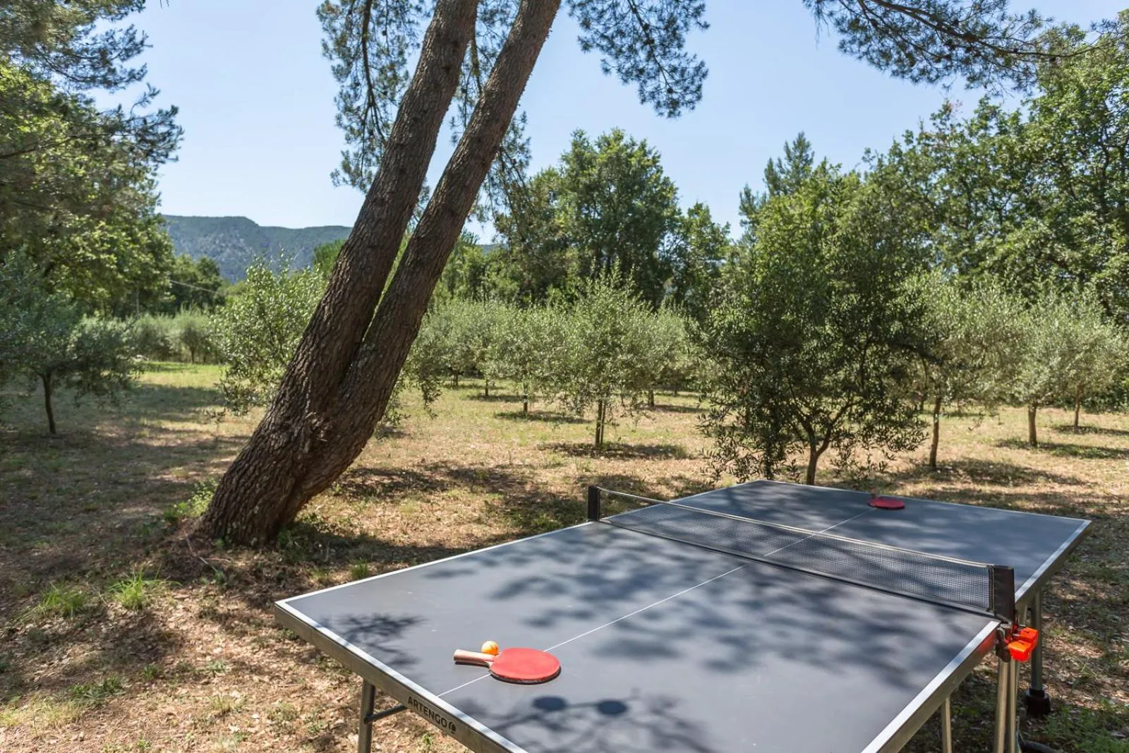 Domaine Les Roullets