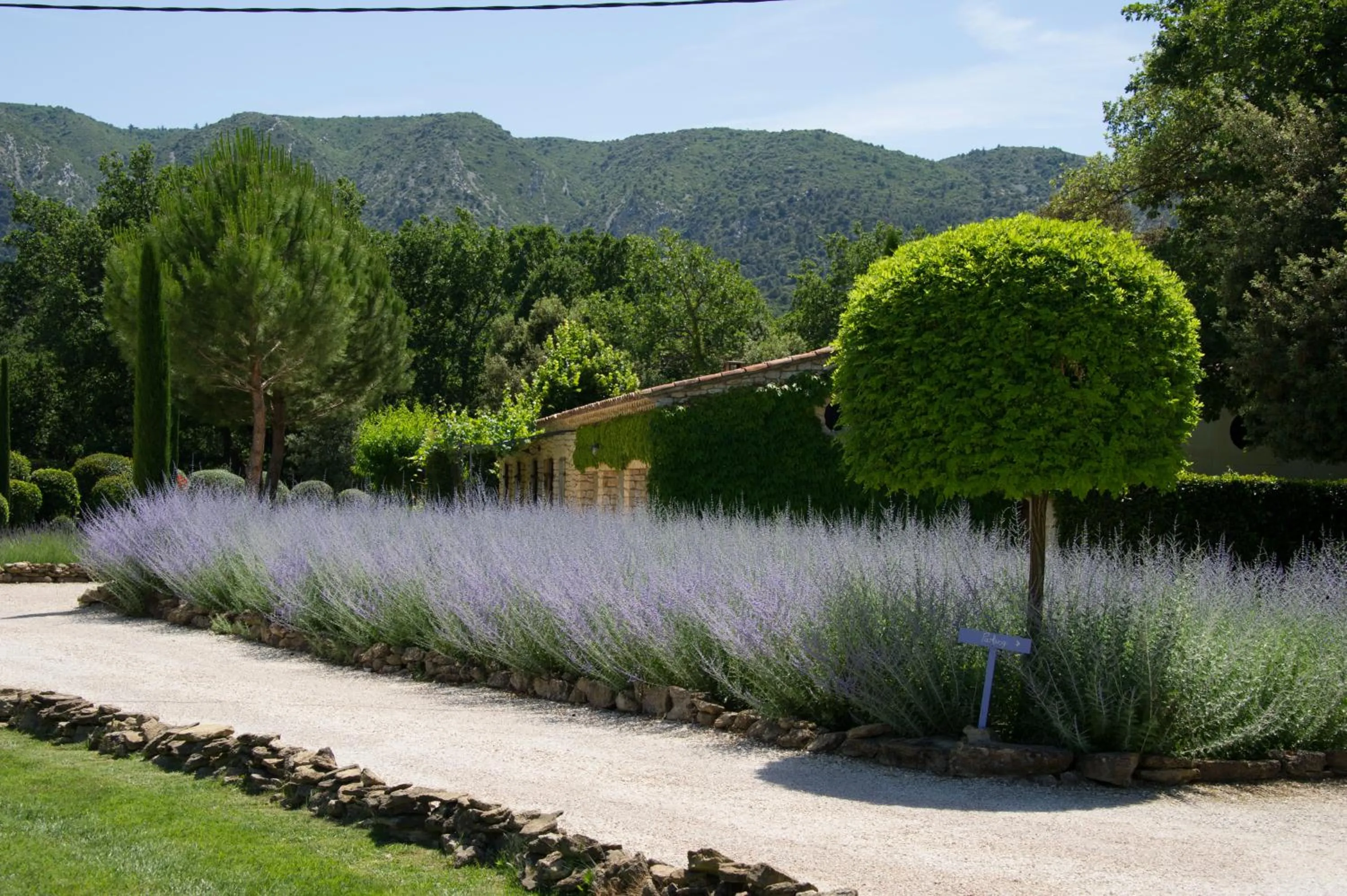 Spring in Domaine Les Roullets