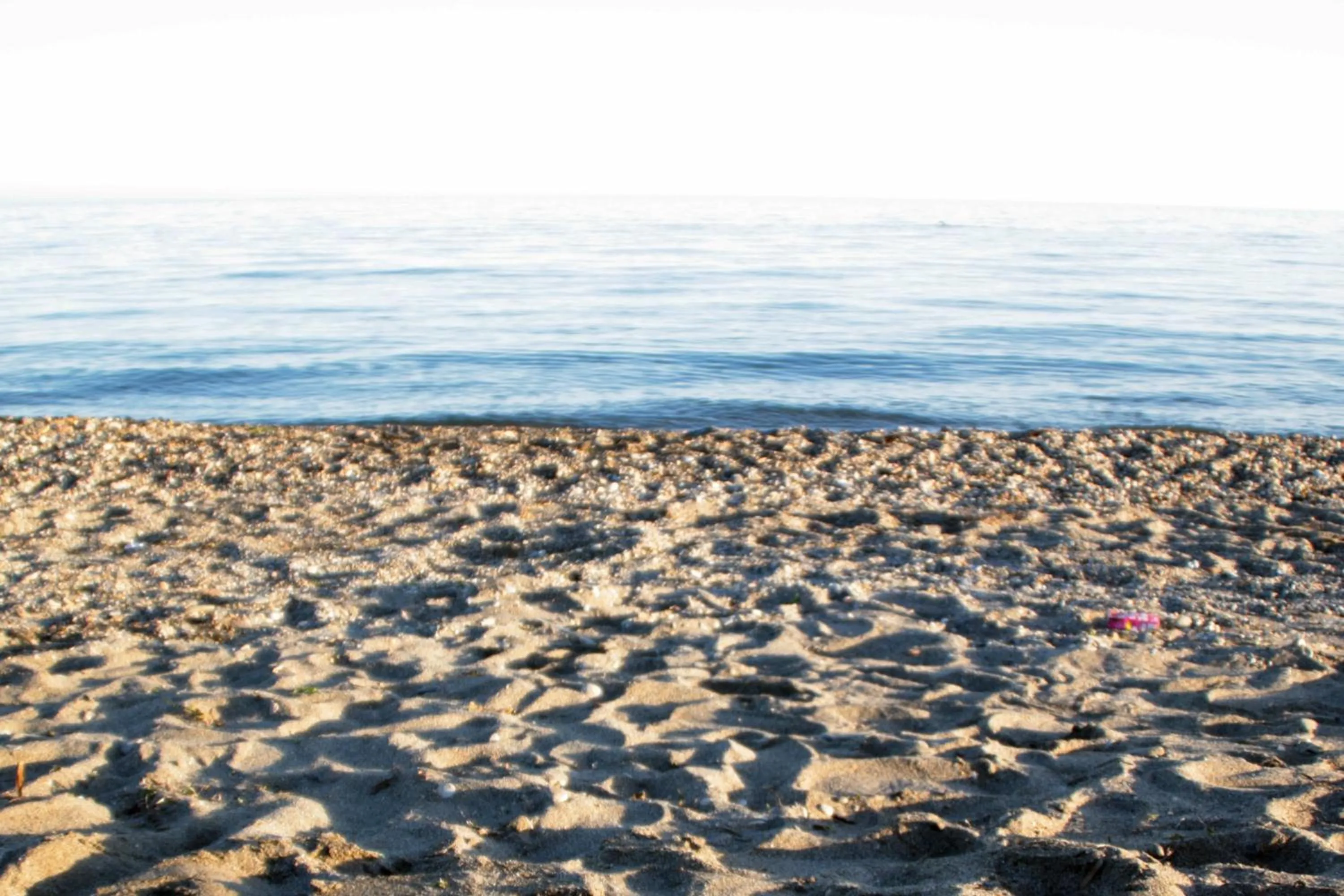 Natural landscape in Hotel Los Arcos