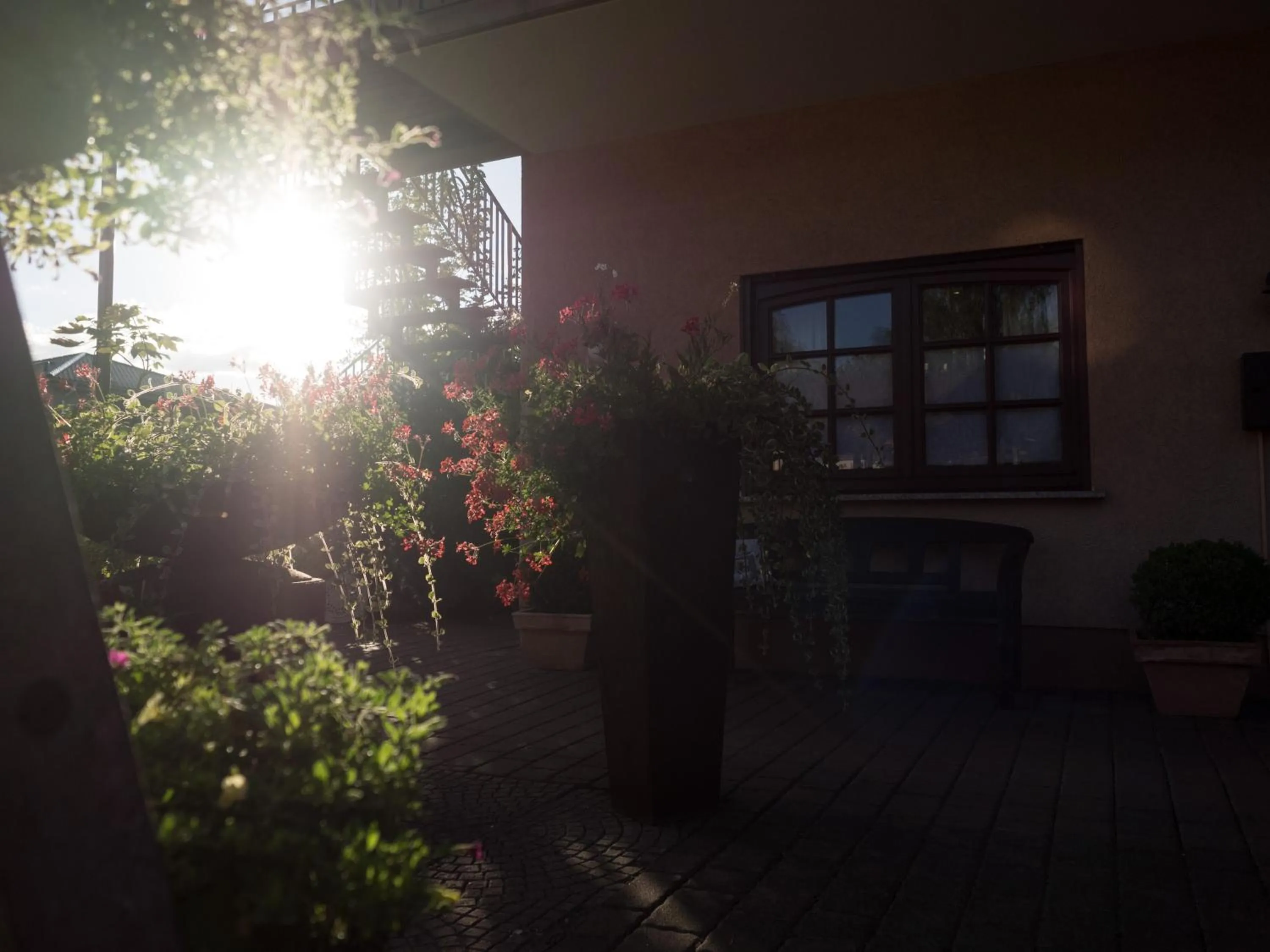 View (from property/room) in Landhaus Nalbach