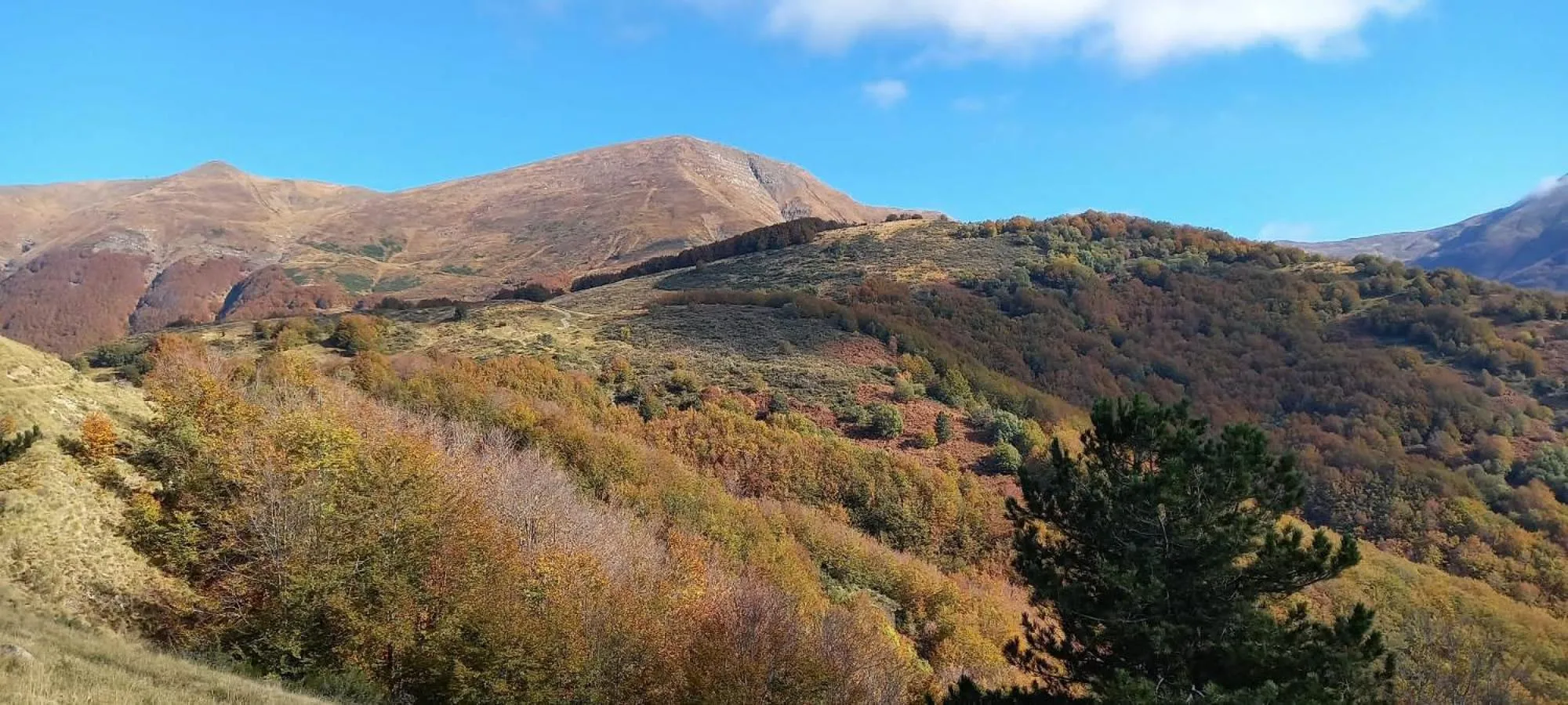 Natural landscape in Casa Sperandini
