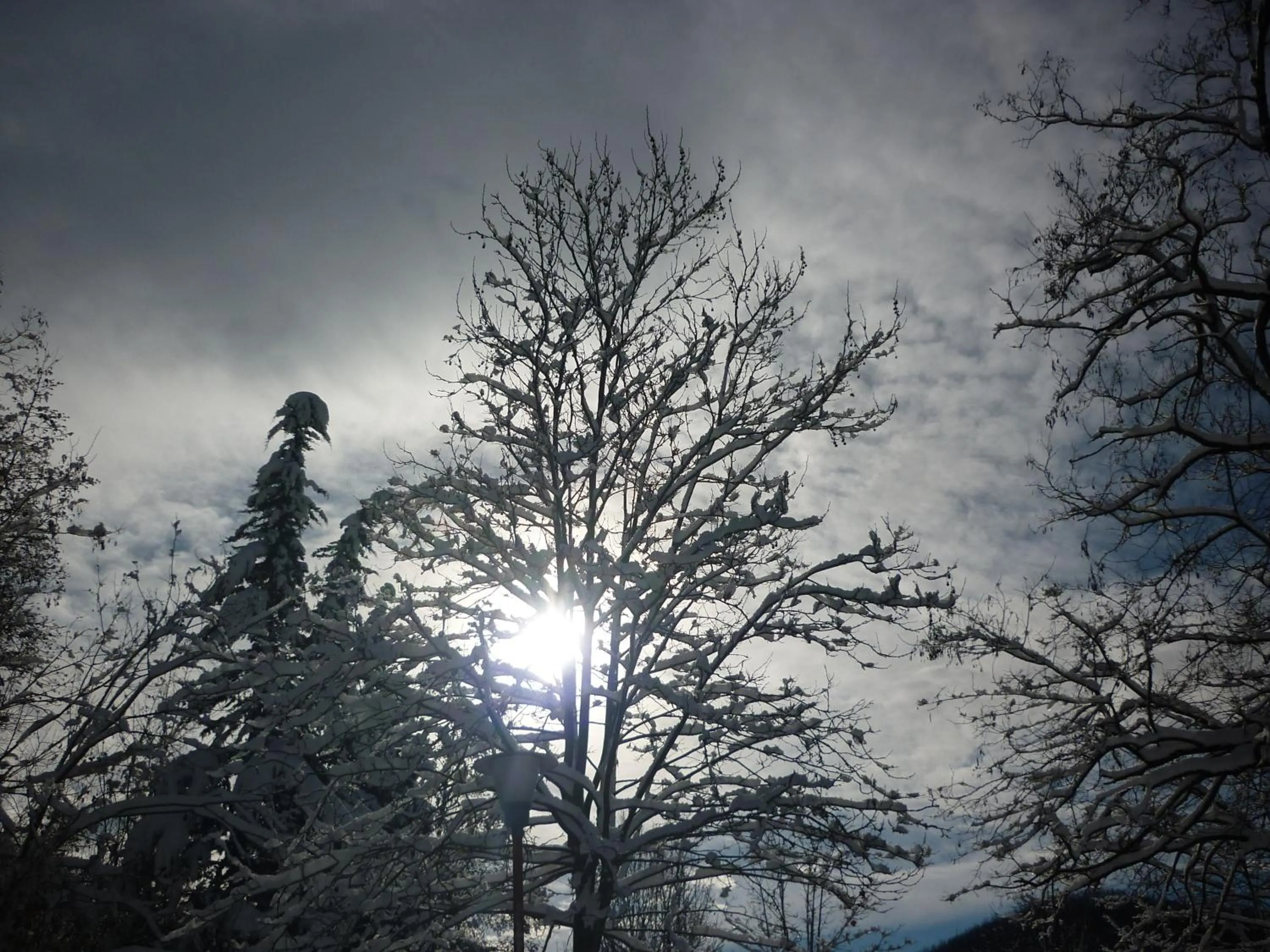 Winter in Casa Sperandini