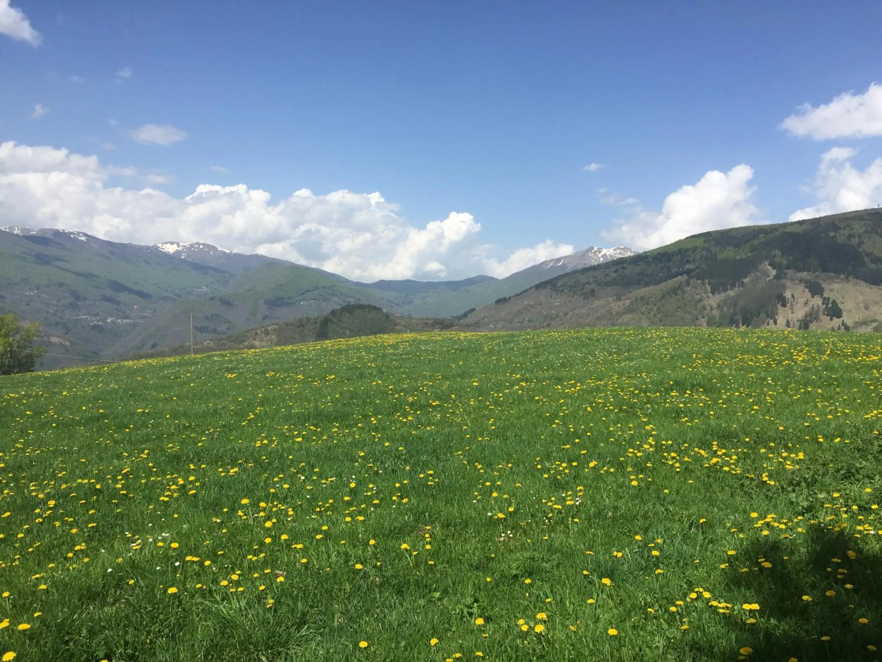 Spring in Casa Sperandini