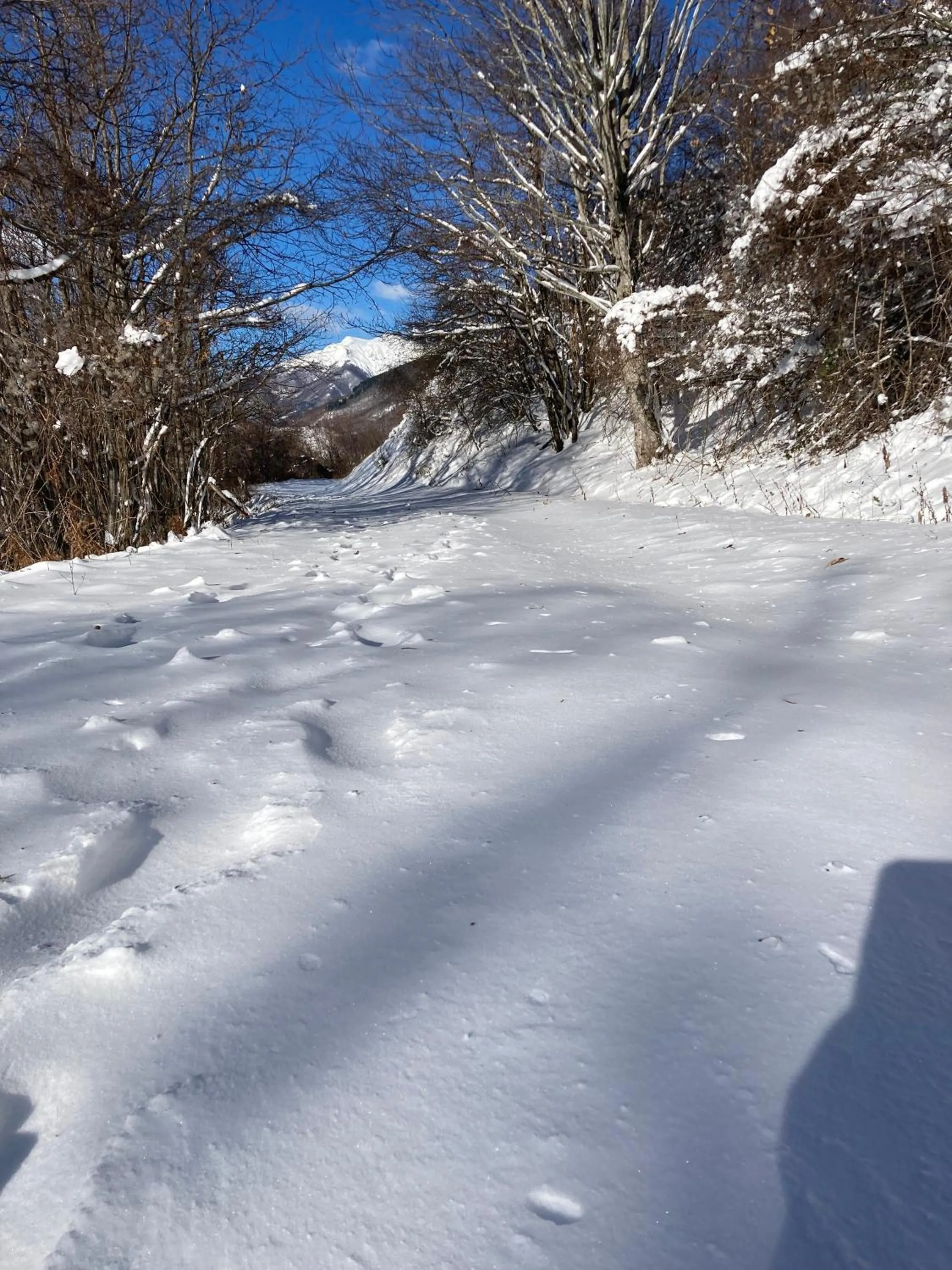 Natural landscape in Casa Sperandini