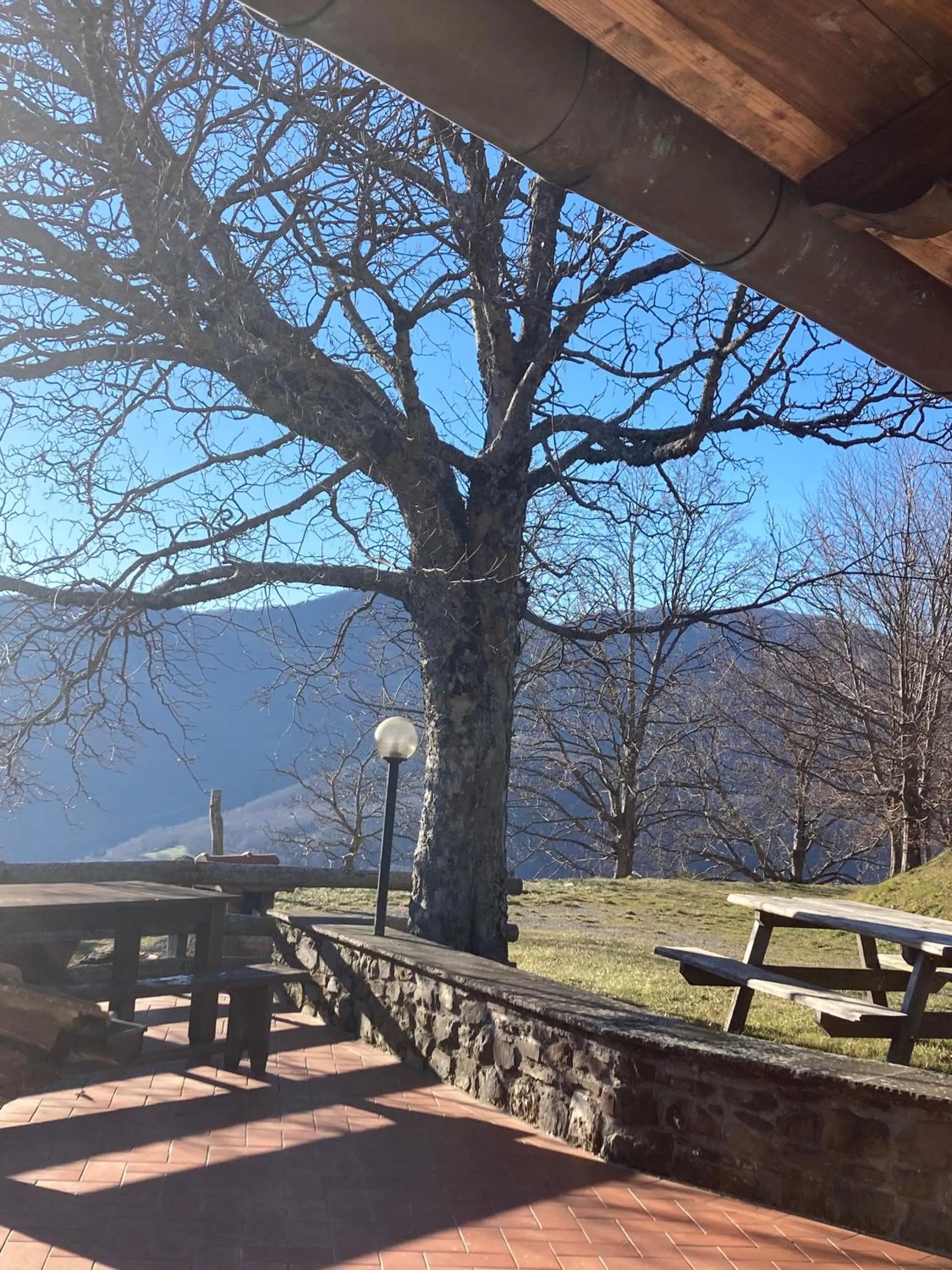 Garden view in Casa Sperandini