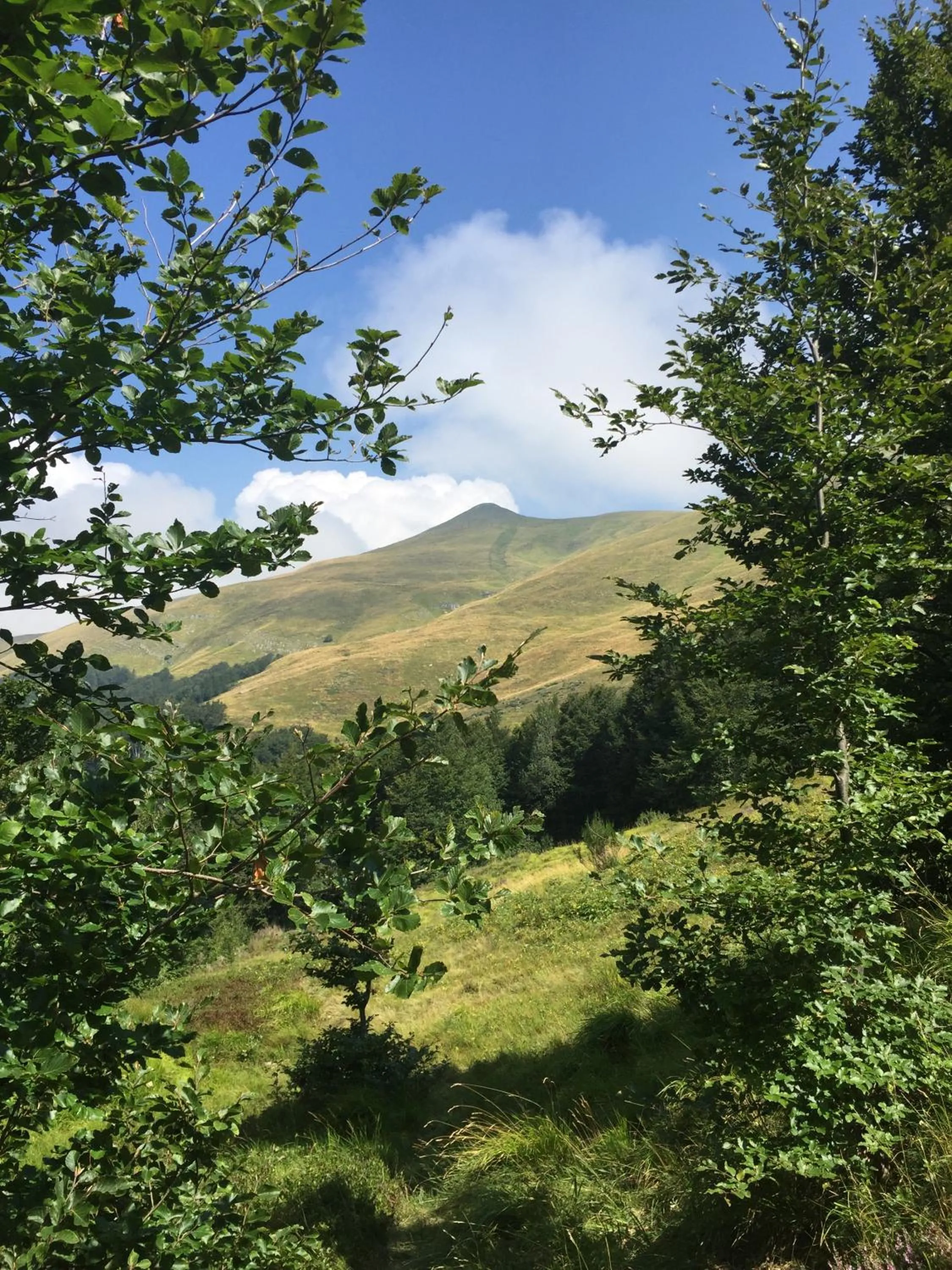 Hiking in Casa Sperandini