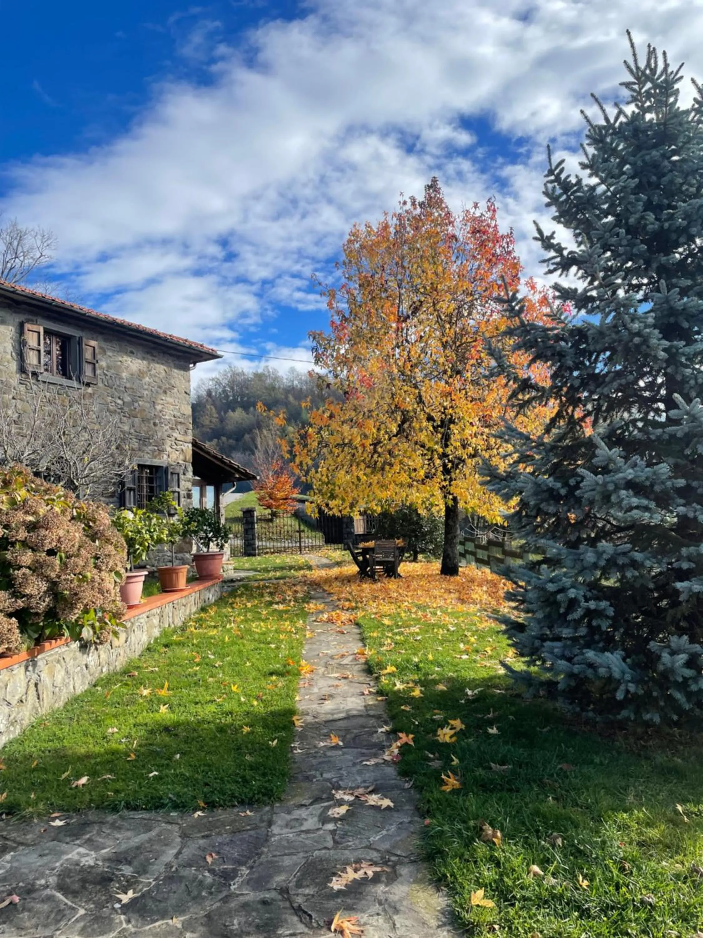 Garden in Casa Sperandini