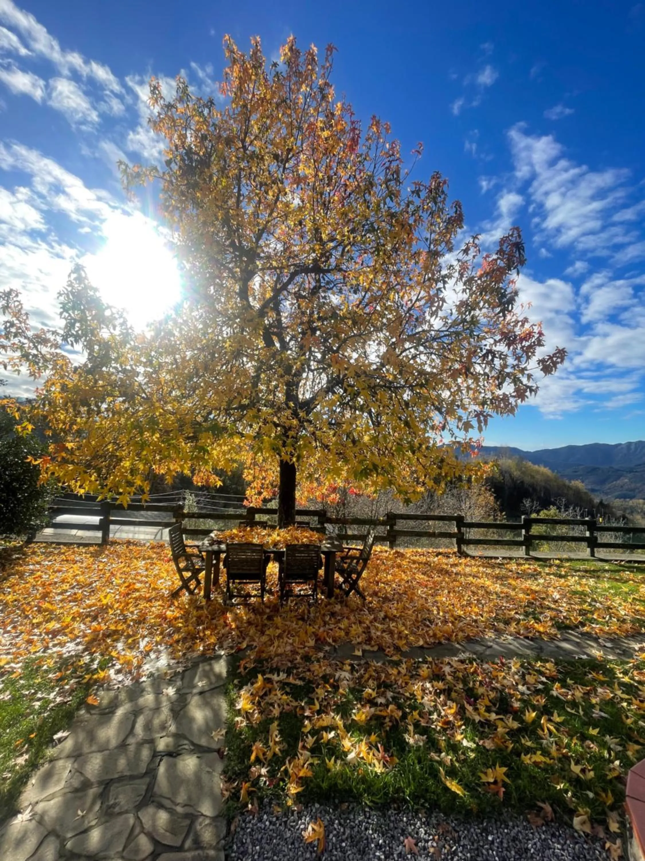 Natural landscape in Casa Sperandini