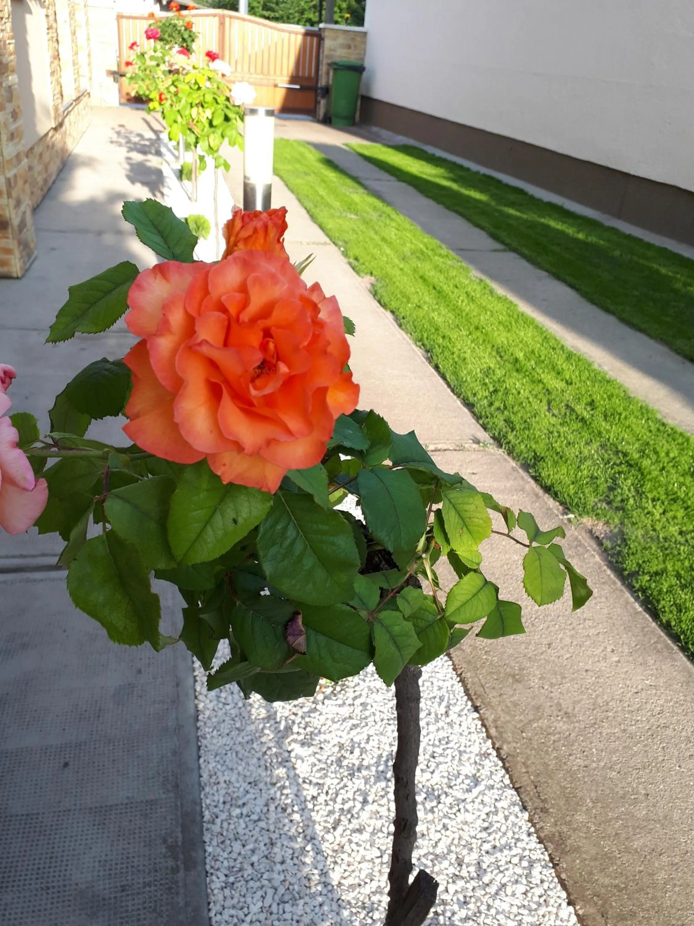 Anna Báthory Apartmanház