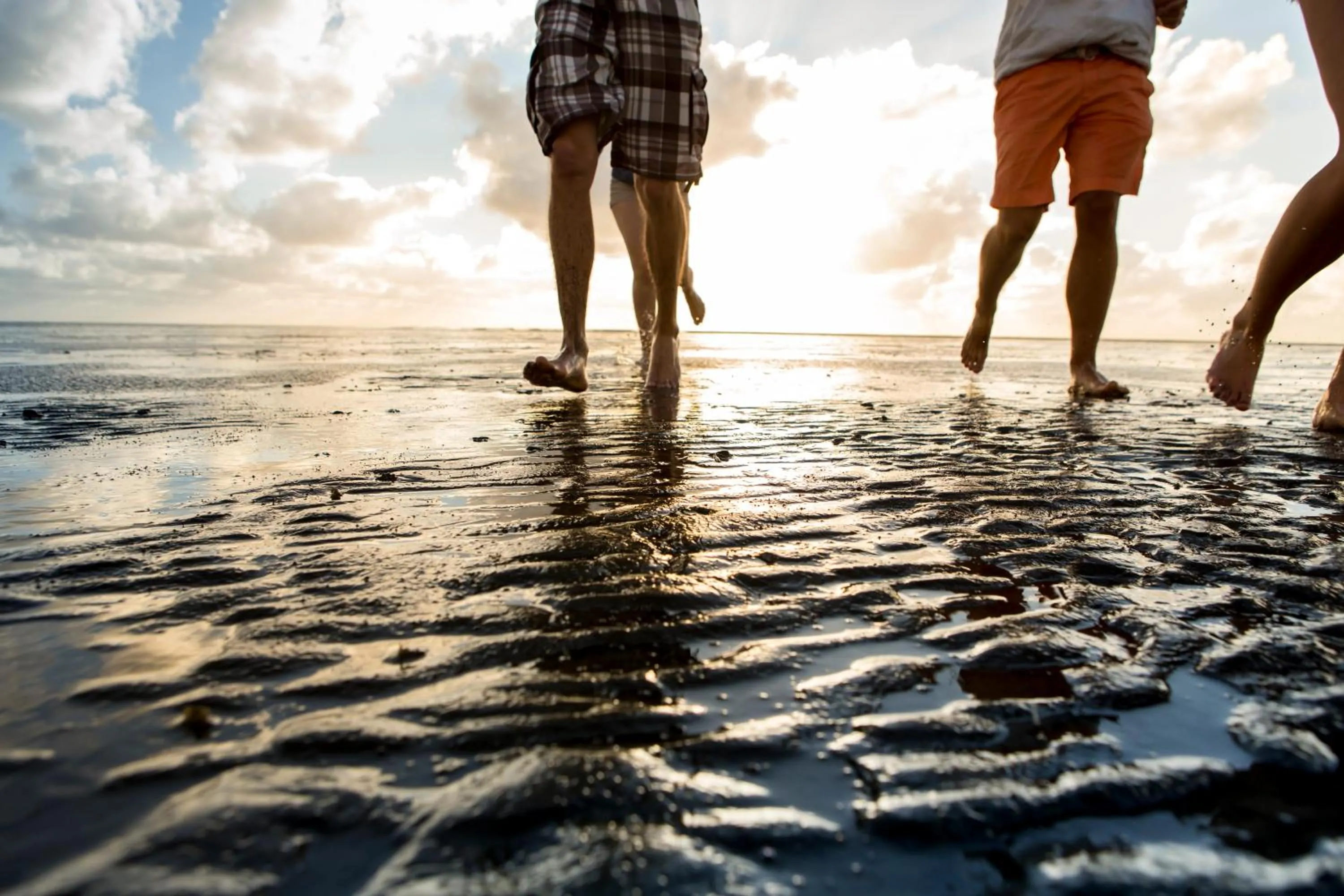 Natural landscape in Küstenperle Strandhotel & Spa