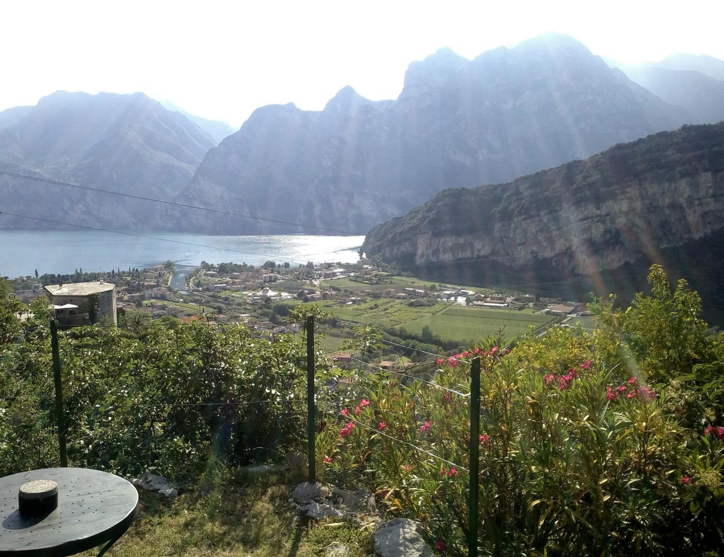 Garden in Garden Belvedere B&B