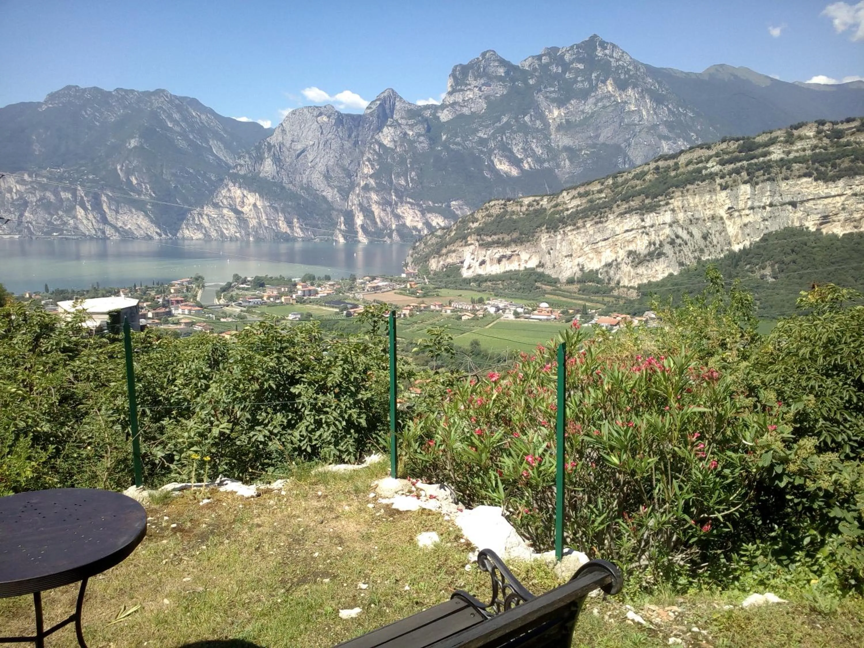 City view in Garden Belvedere B&B