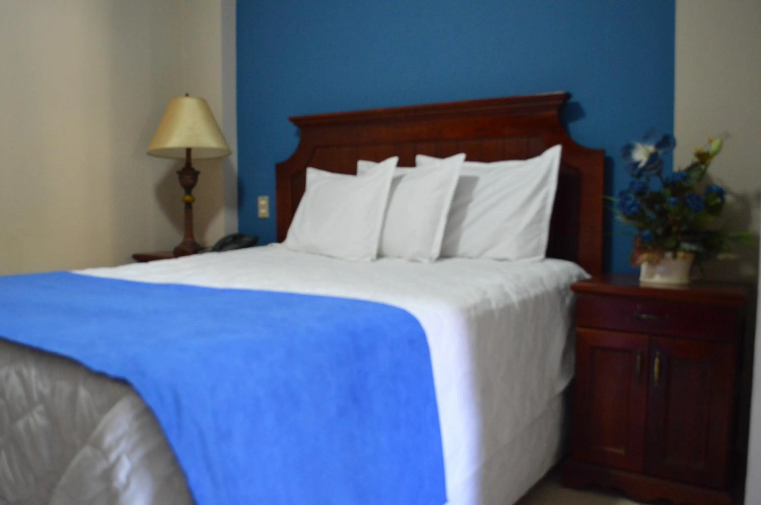 Bed in Hotel Florencia