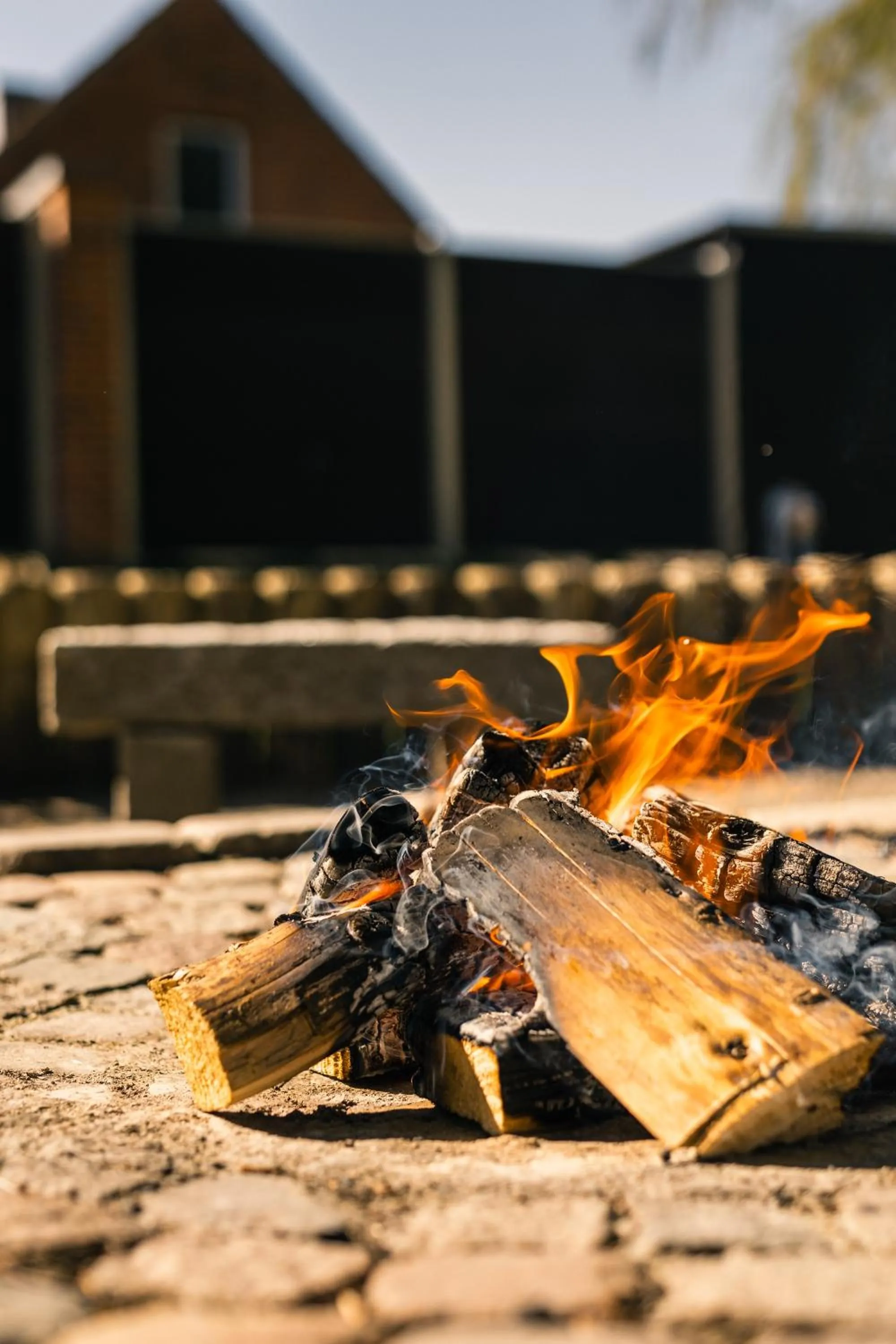 Entertainment in Ribe Byferie Resort