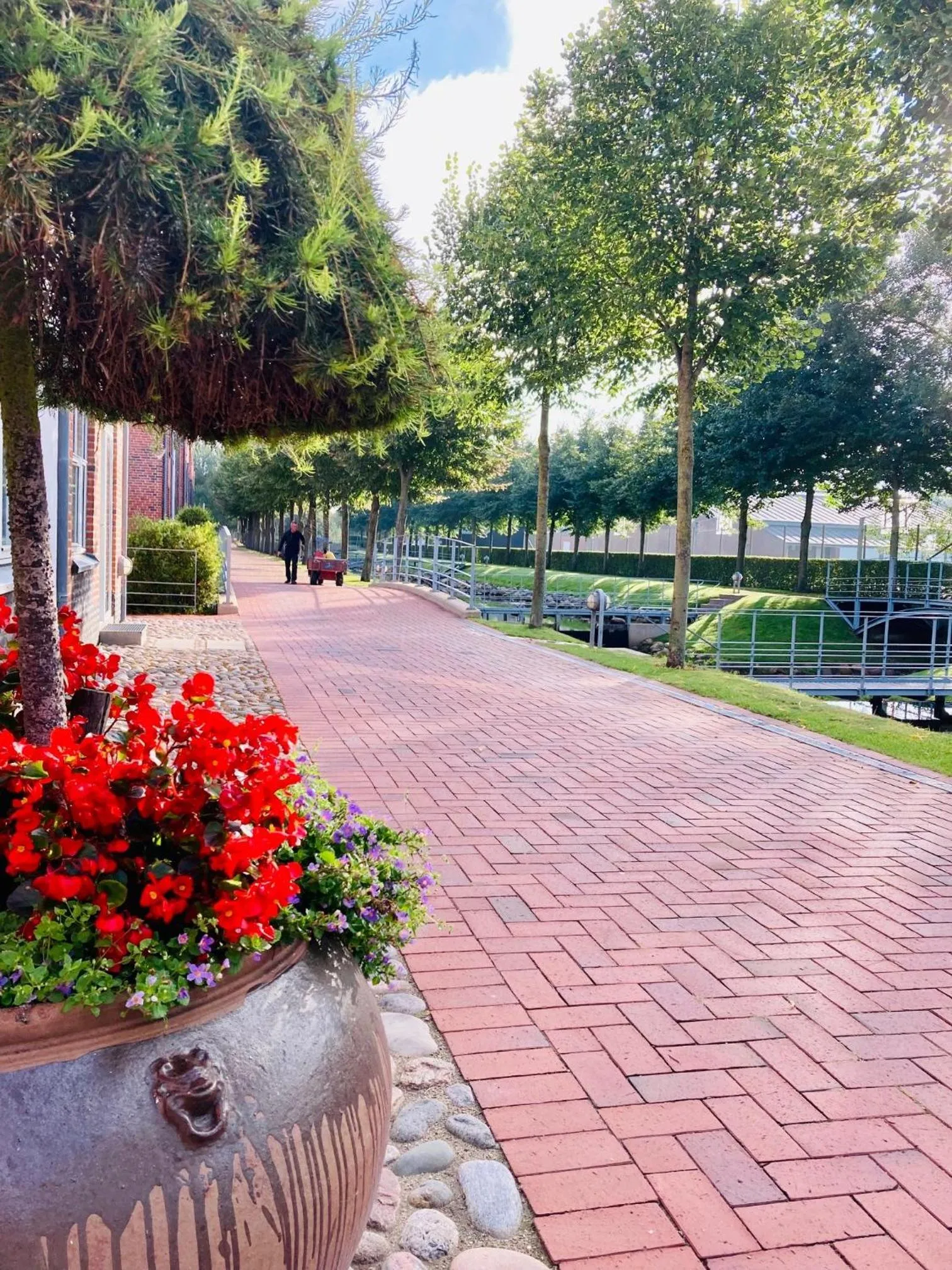 Natural landscape in Ribe Byferie Resort