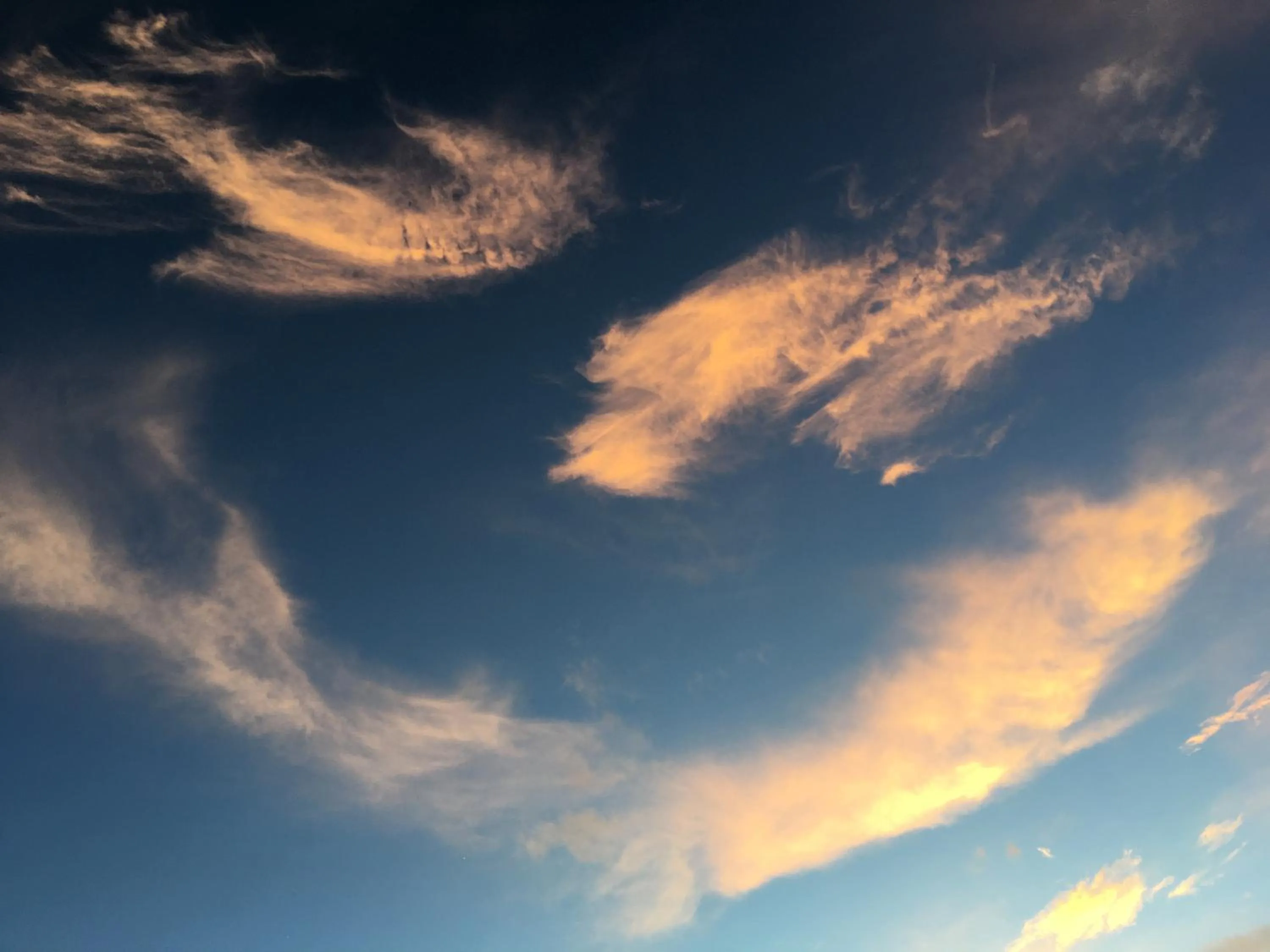 View (from property/room) in Jianshe Inn