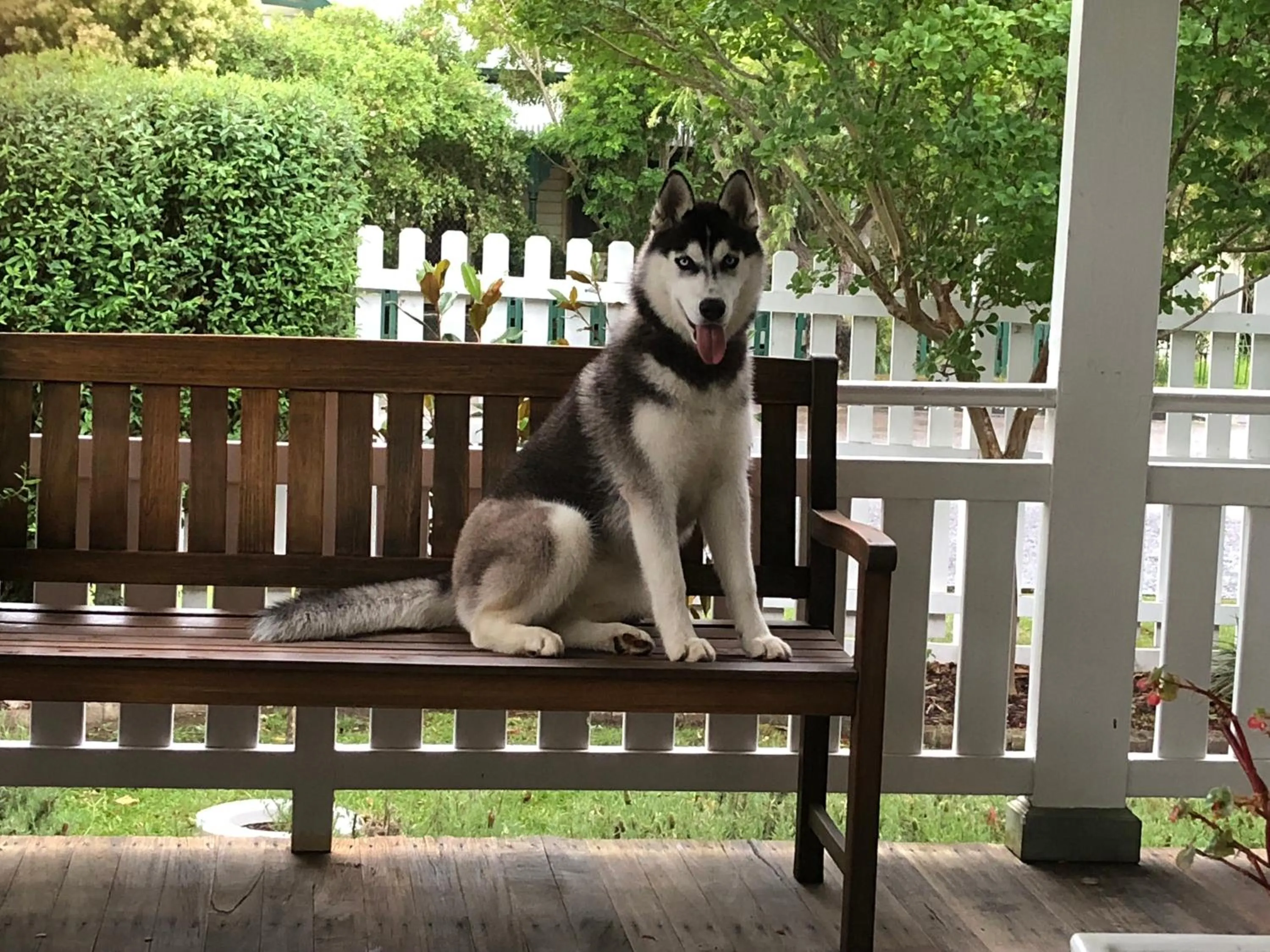 Property building in BIRCHES B&B