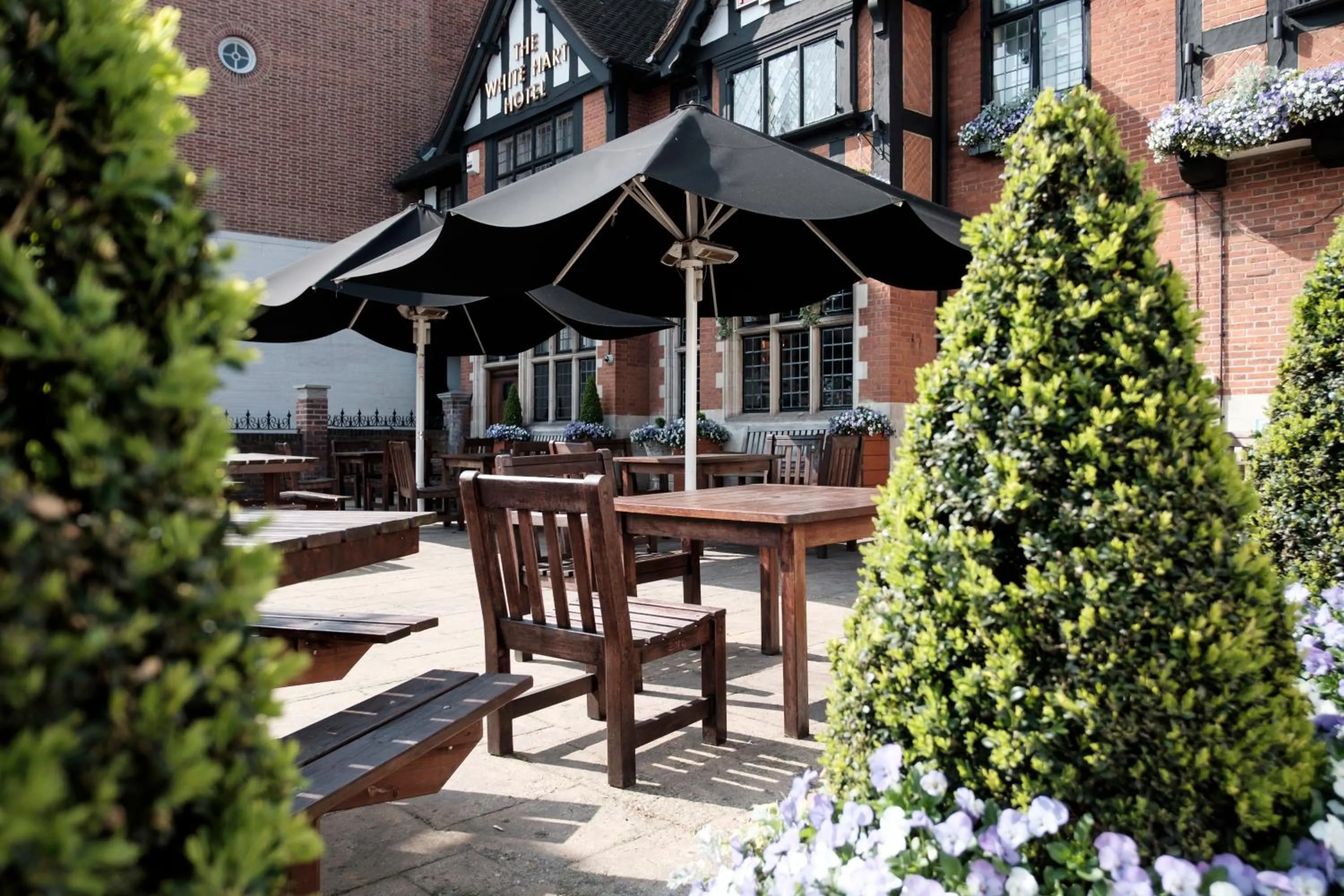 Garden in The White Hart Hotel