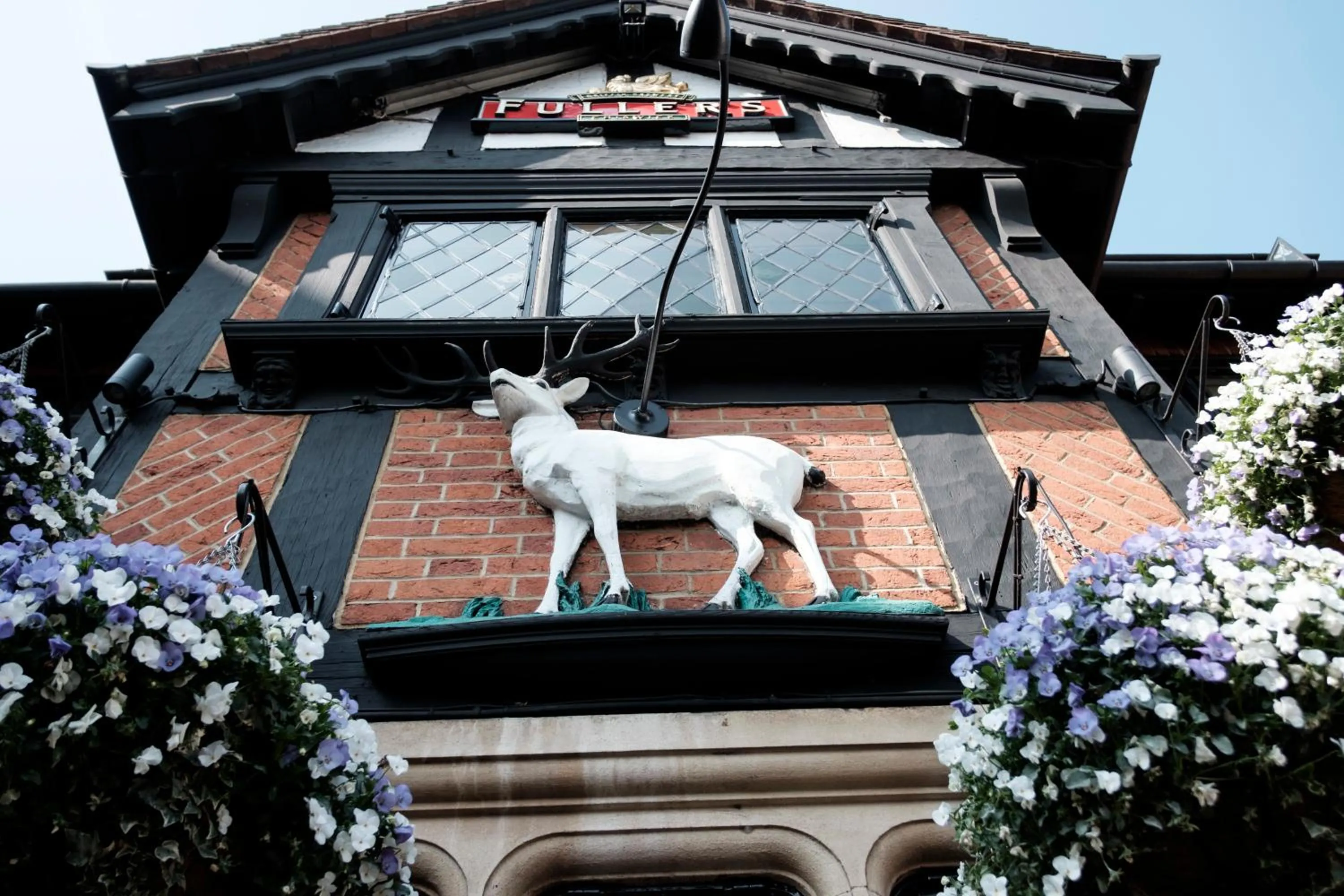 Pets in The White Hart Hotel