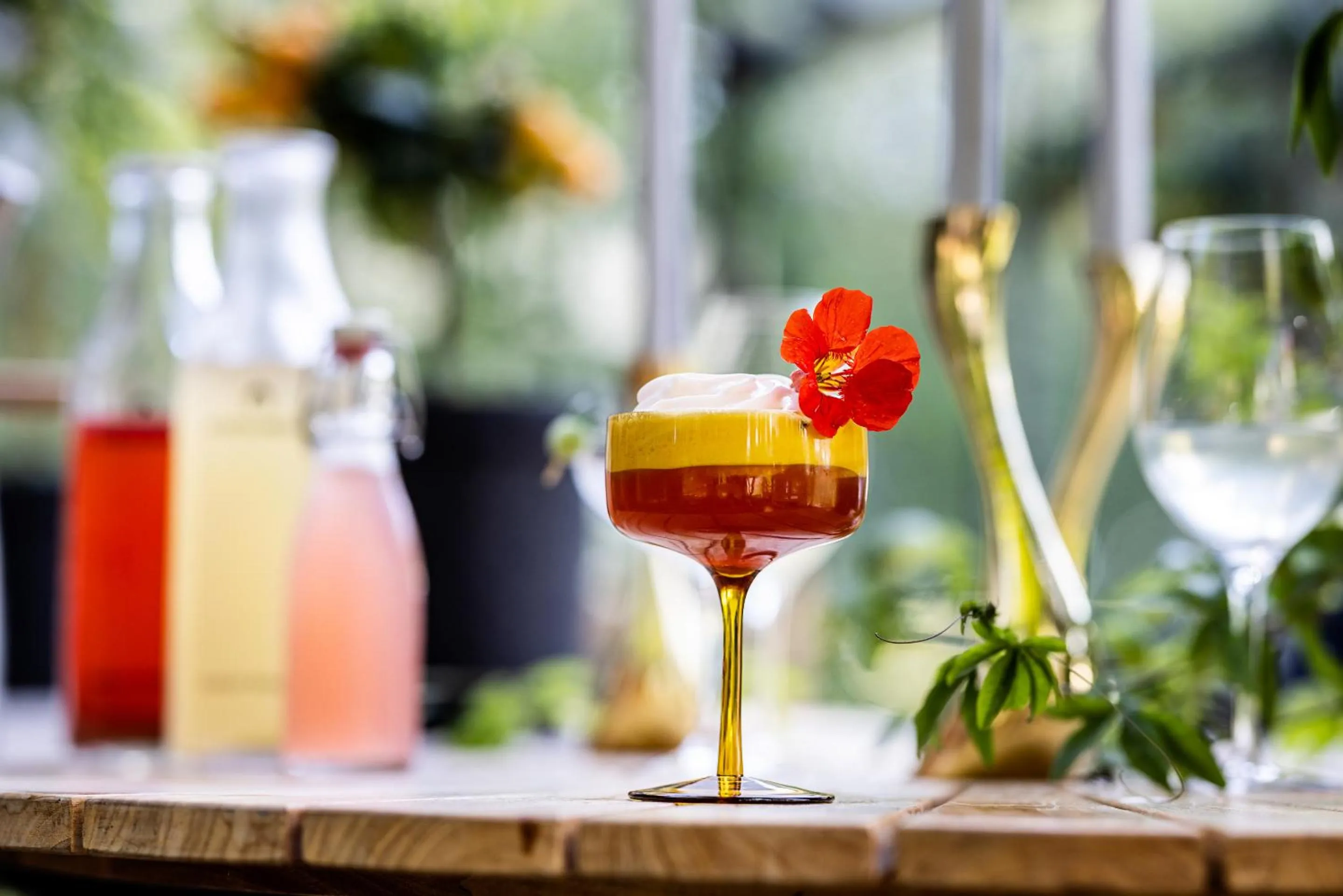 Drinks in Hotel Scheelsminde