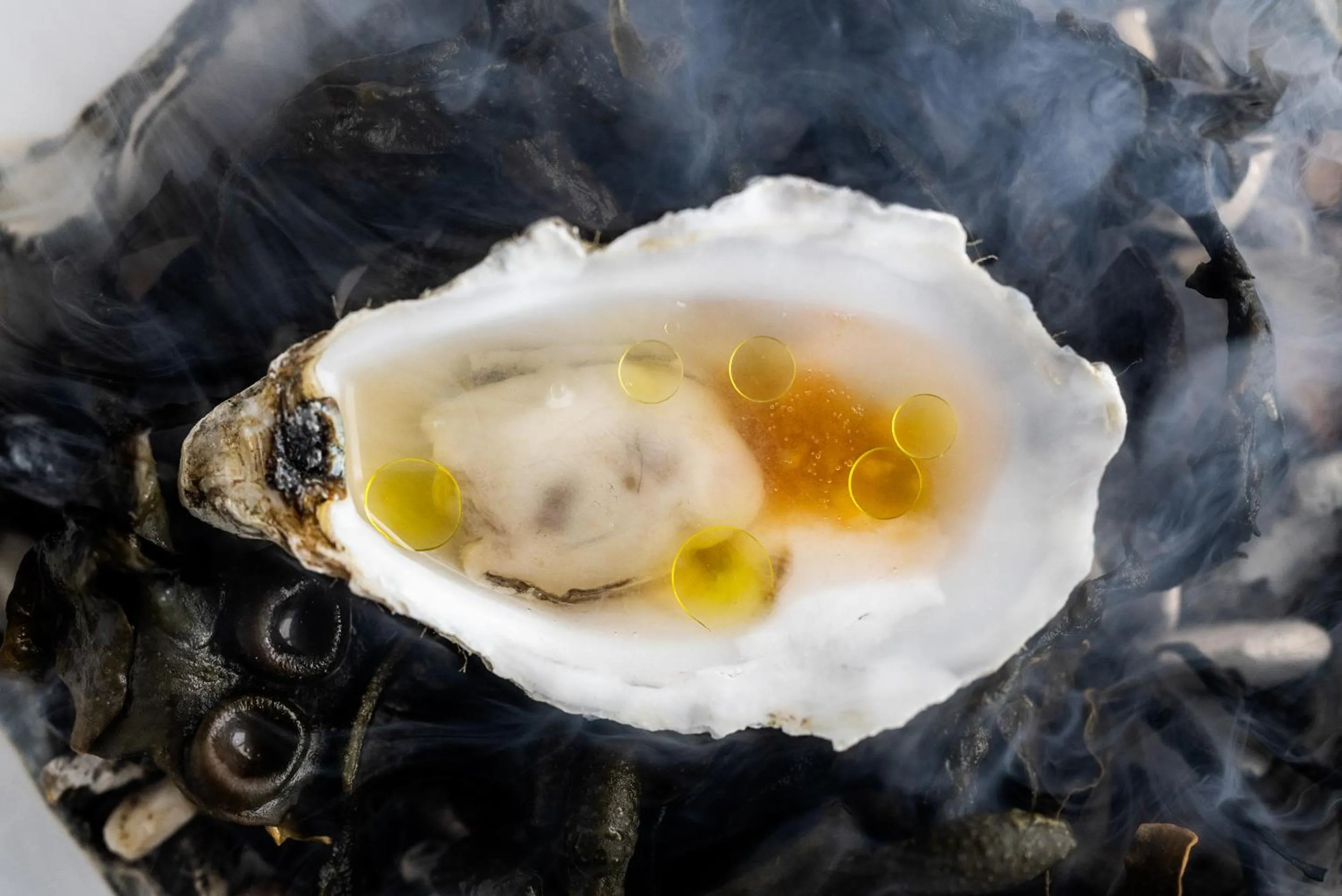 Food in Hotel Scheelsminde