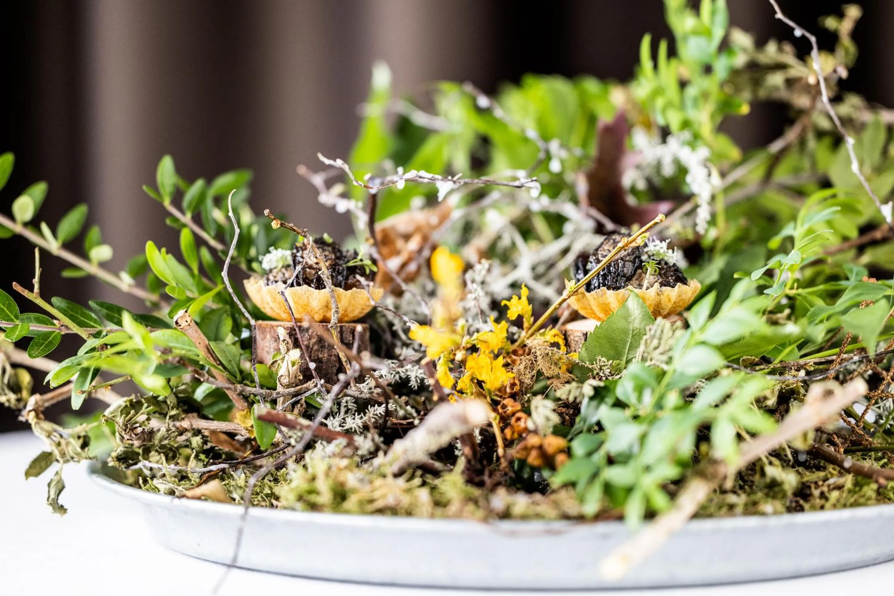 Food in Hotel Scheelsminde