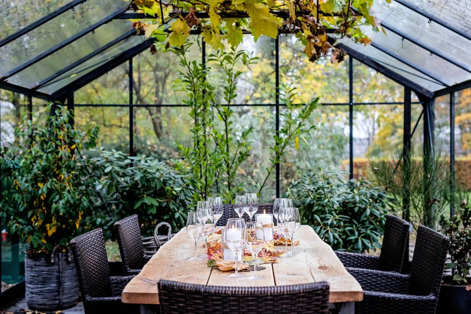 Garden in Hotel Scheelsminde