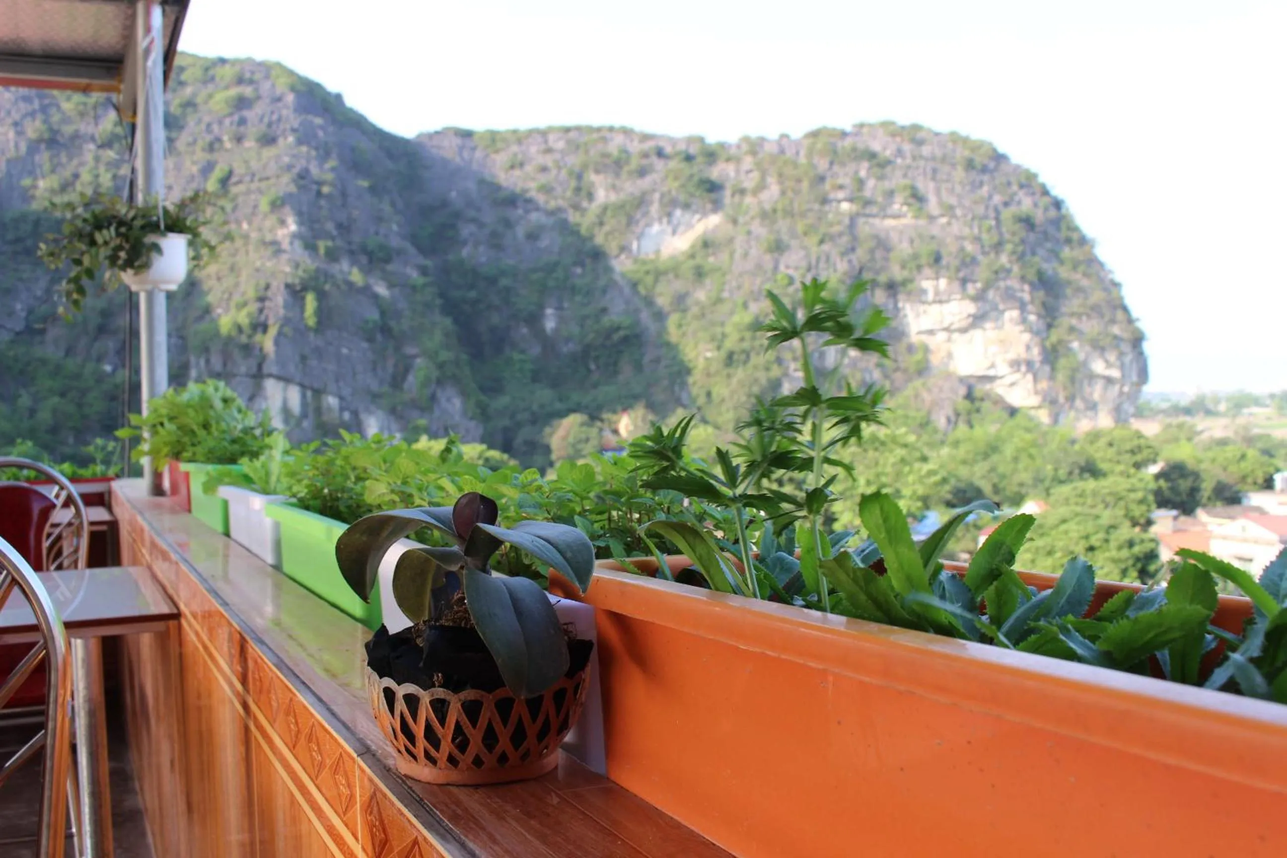 Restaurant/places to eat in Sierra Homestay