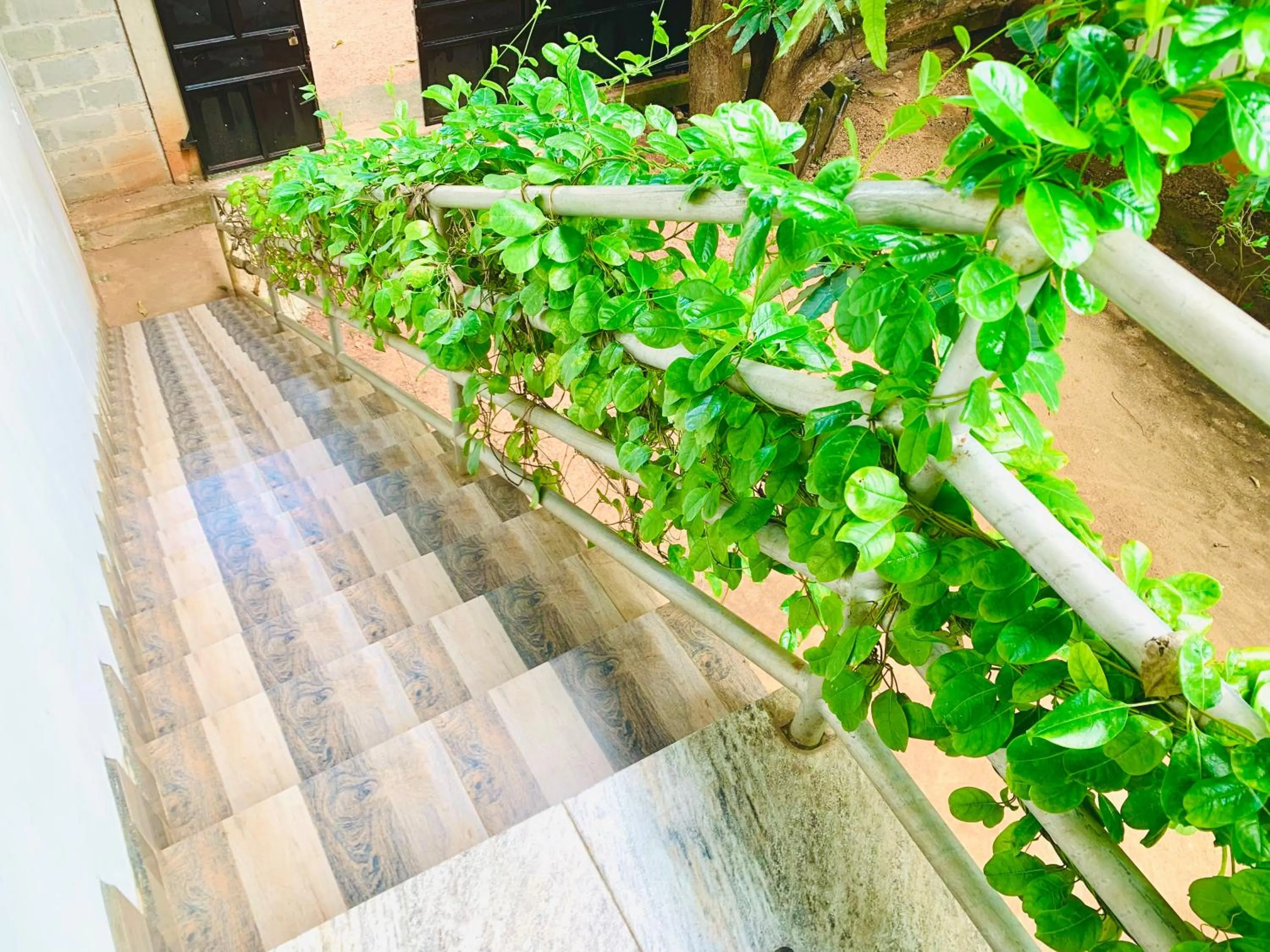 Rich Resort & Restaurant