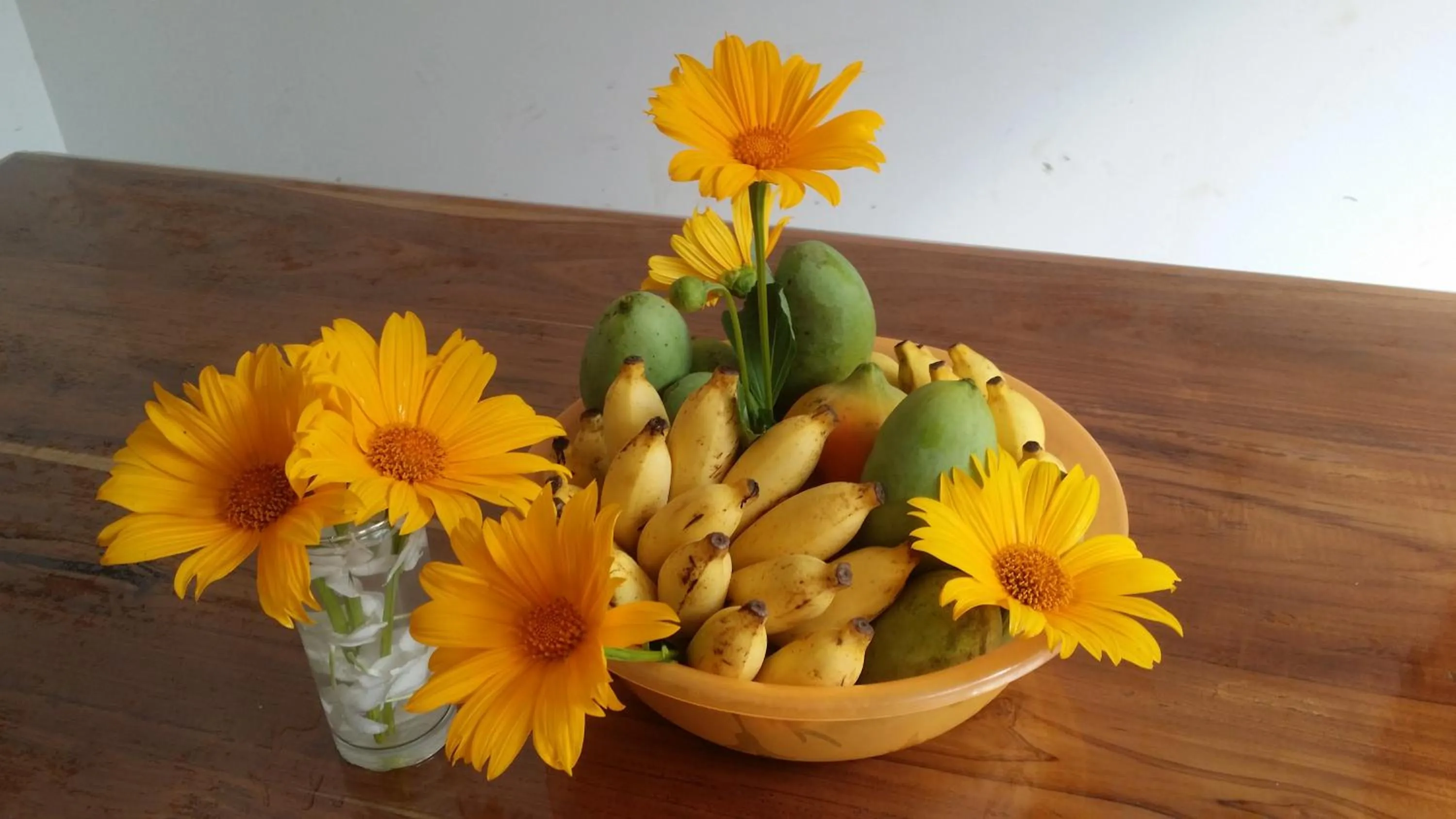 Garden in Rich Resort & Restaurant