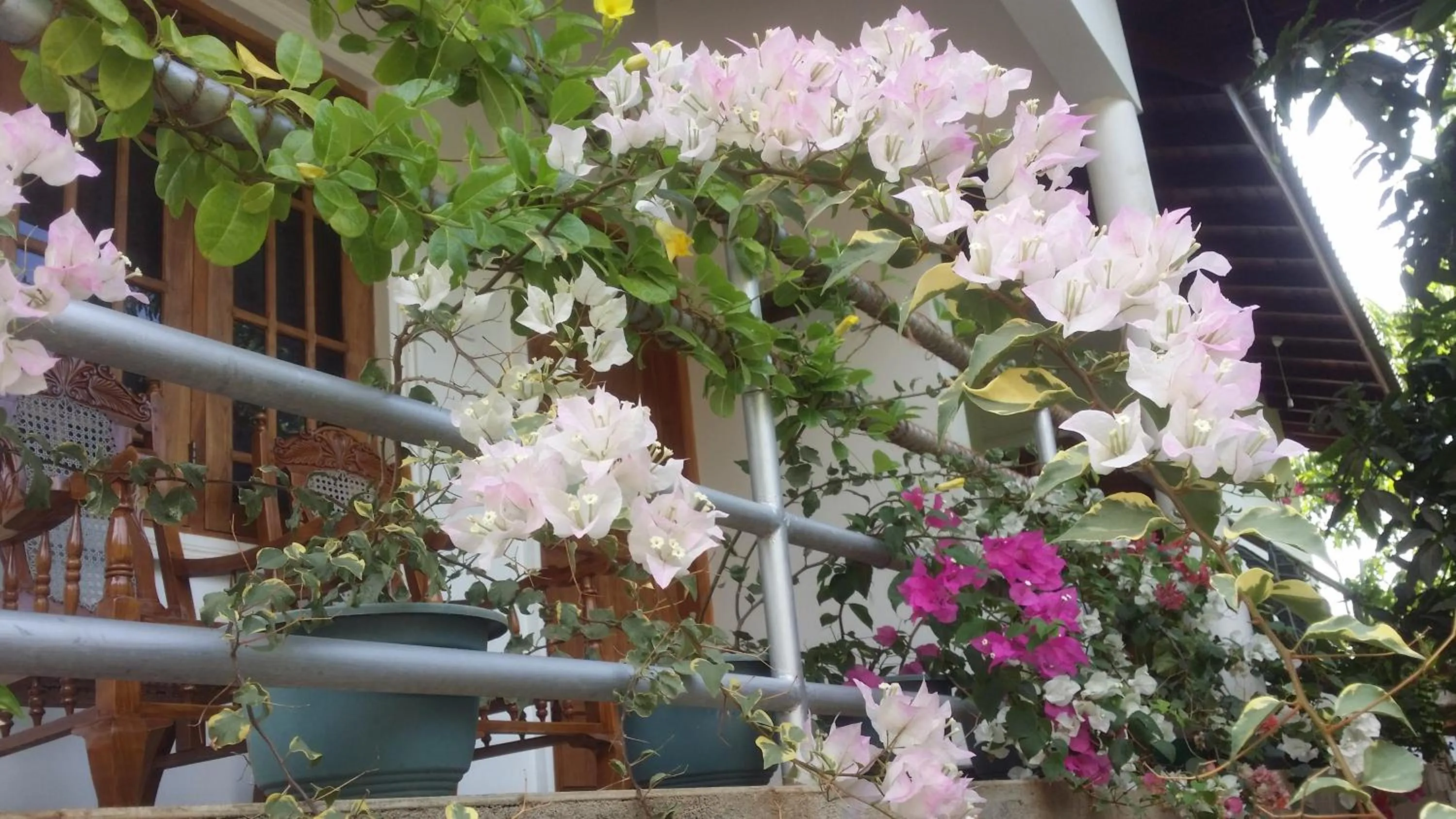 Garden in Rich Resort & Restaurant