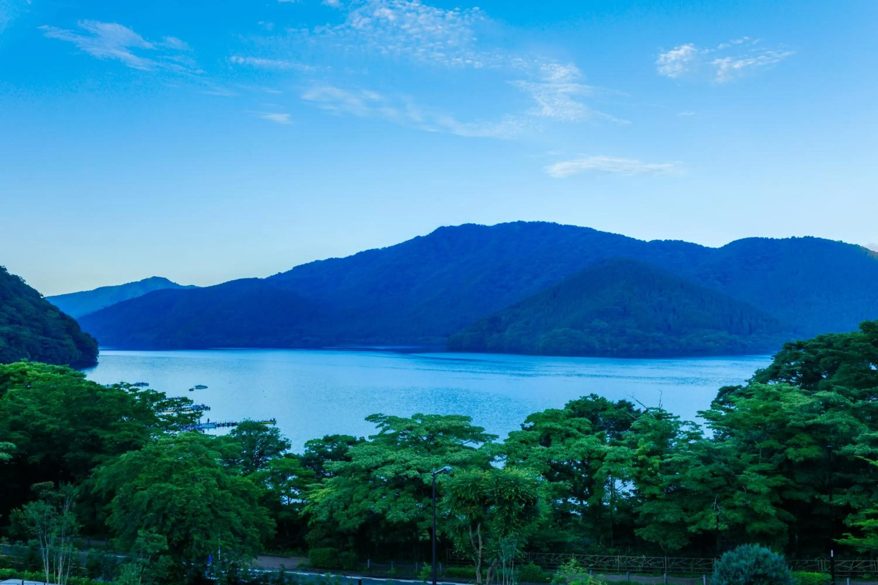 Hakone Ashinoko Hanaori