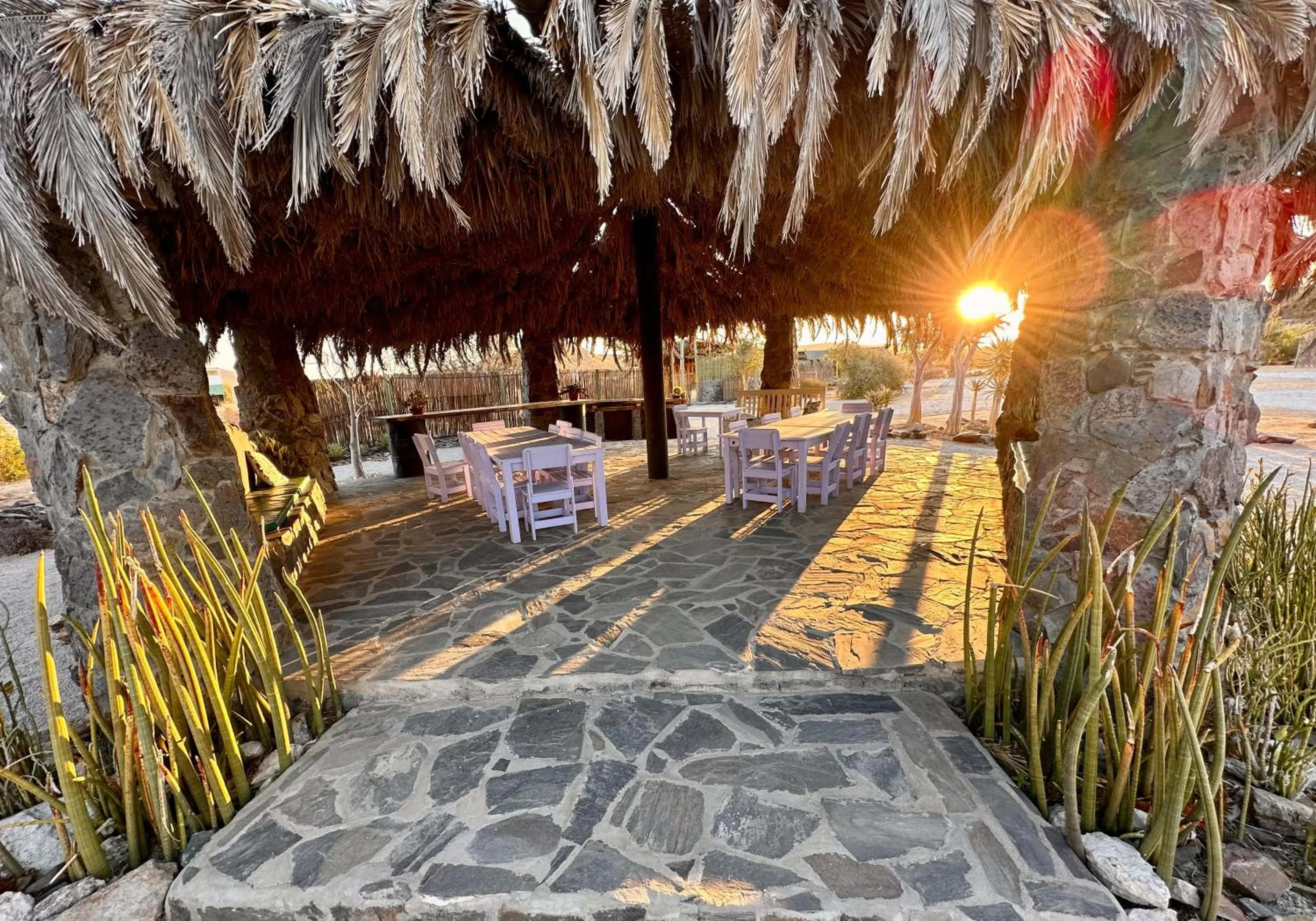 Garden view in Daureb Isib Campsite and B&B