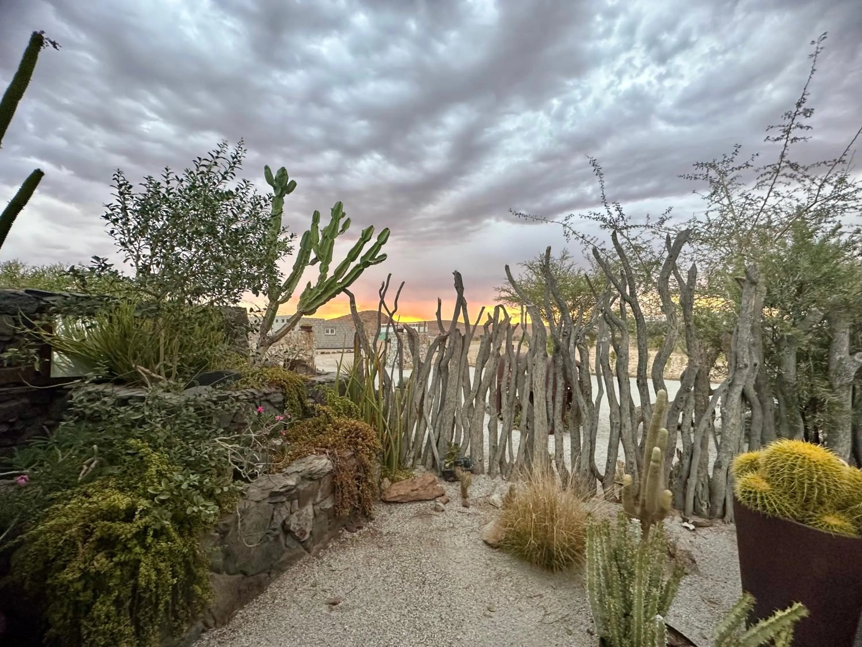 Daureb Isib Campsite and B&B