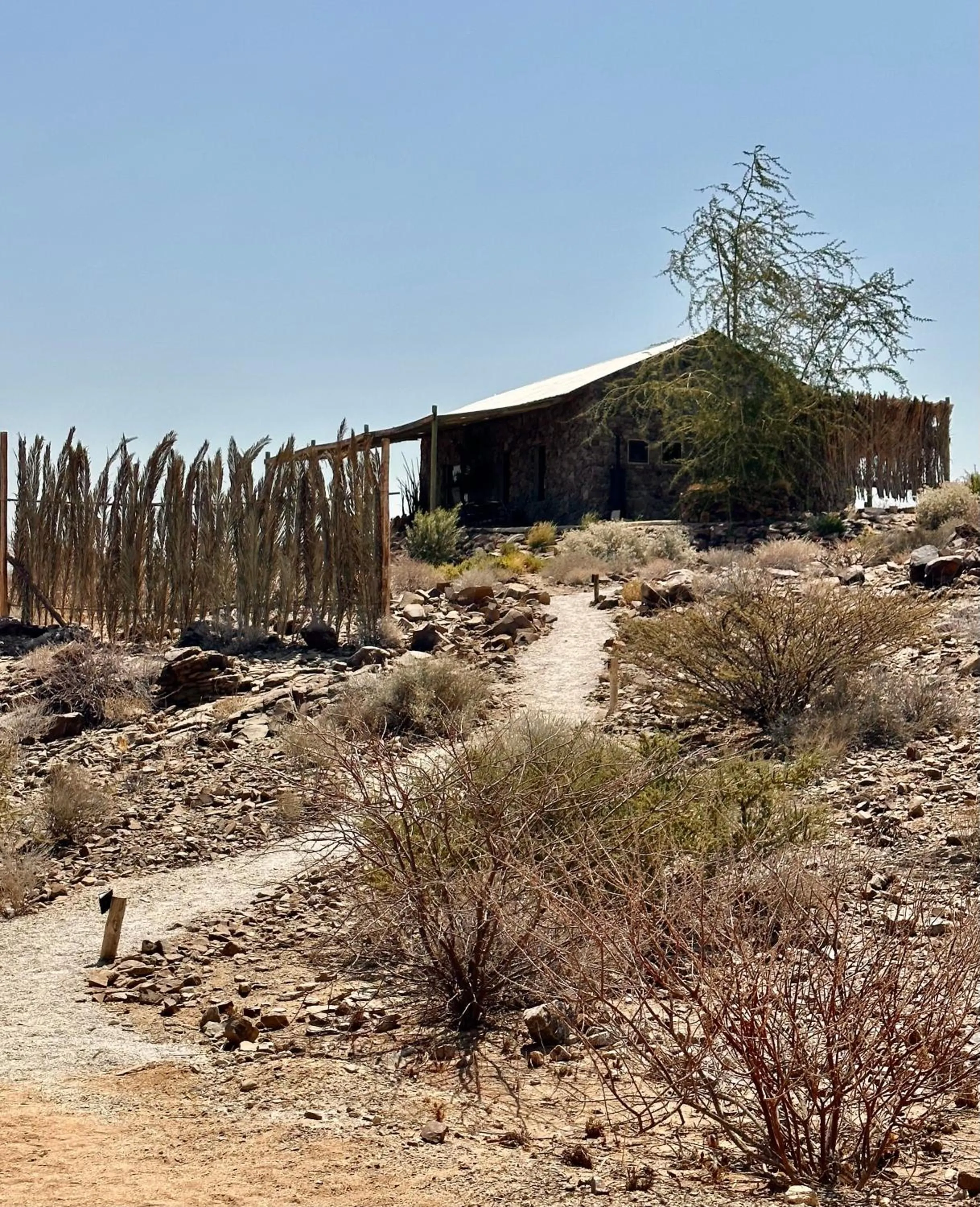 Daureb Isib Campsite and B&B