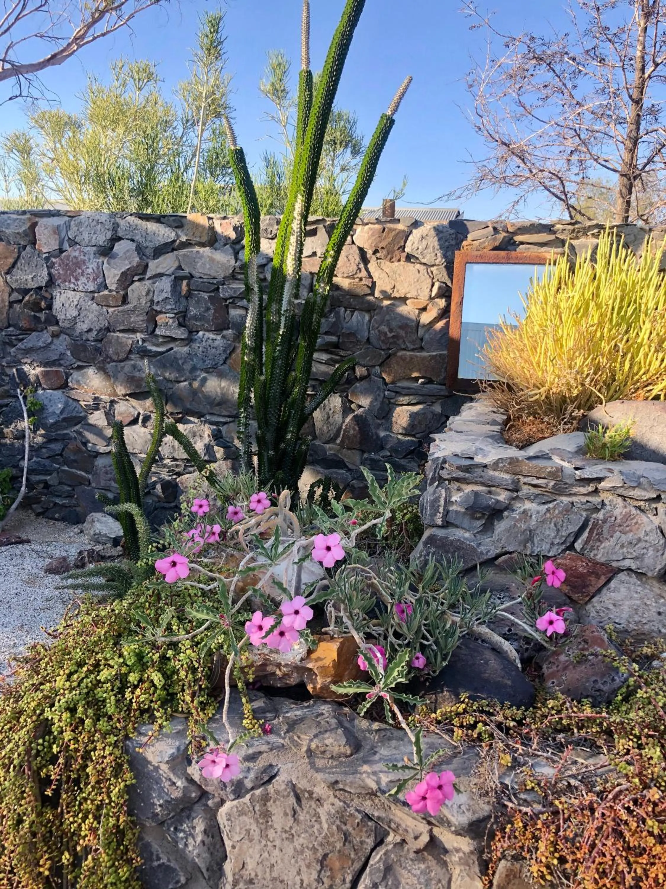 Restaurant/places to eat in Daureb Isib Campsite and B&B