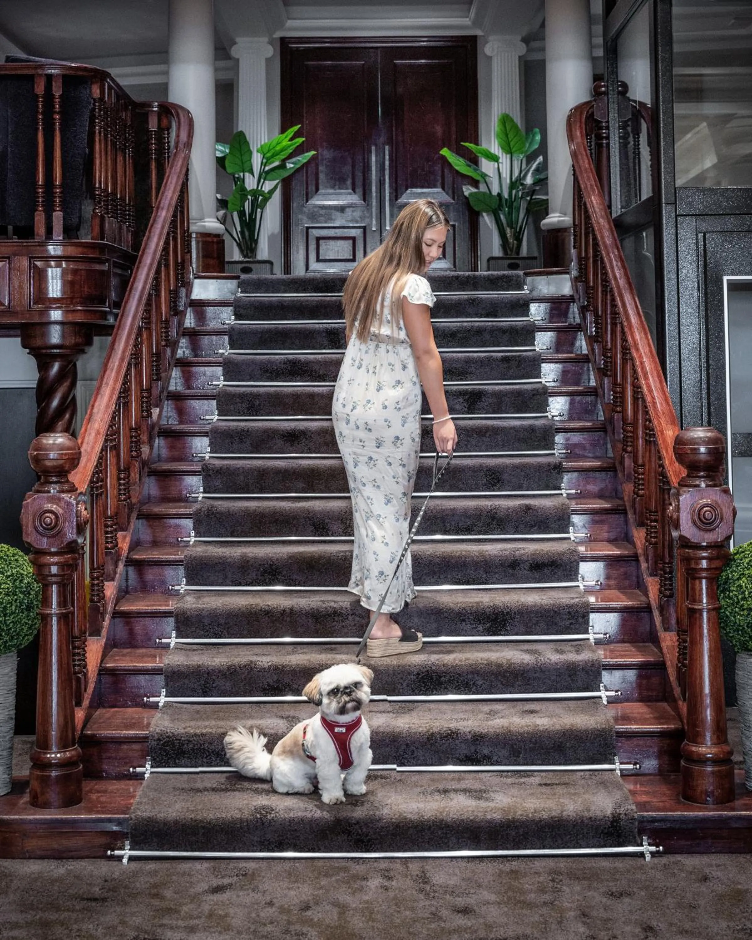 Pets in Grand Jersey Hotel and Spa