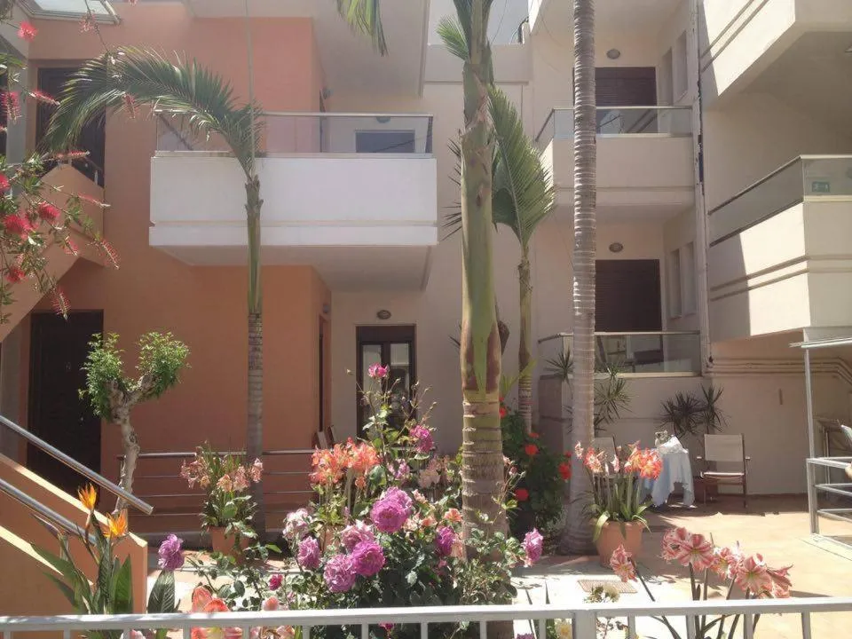 Area and facilities in Kallitsakis Beach