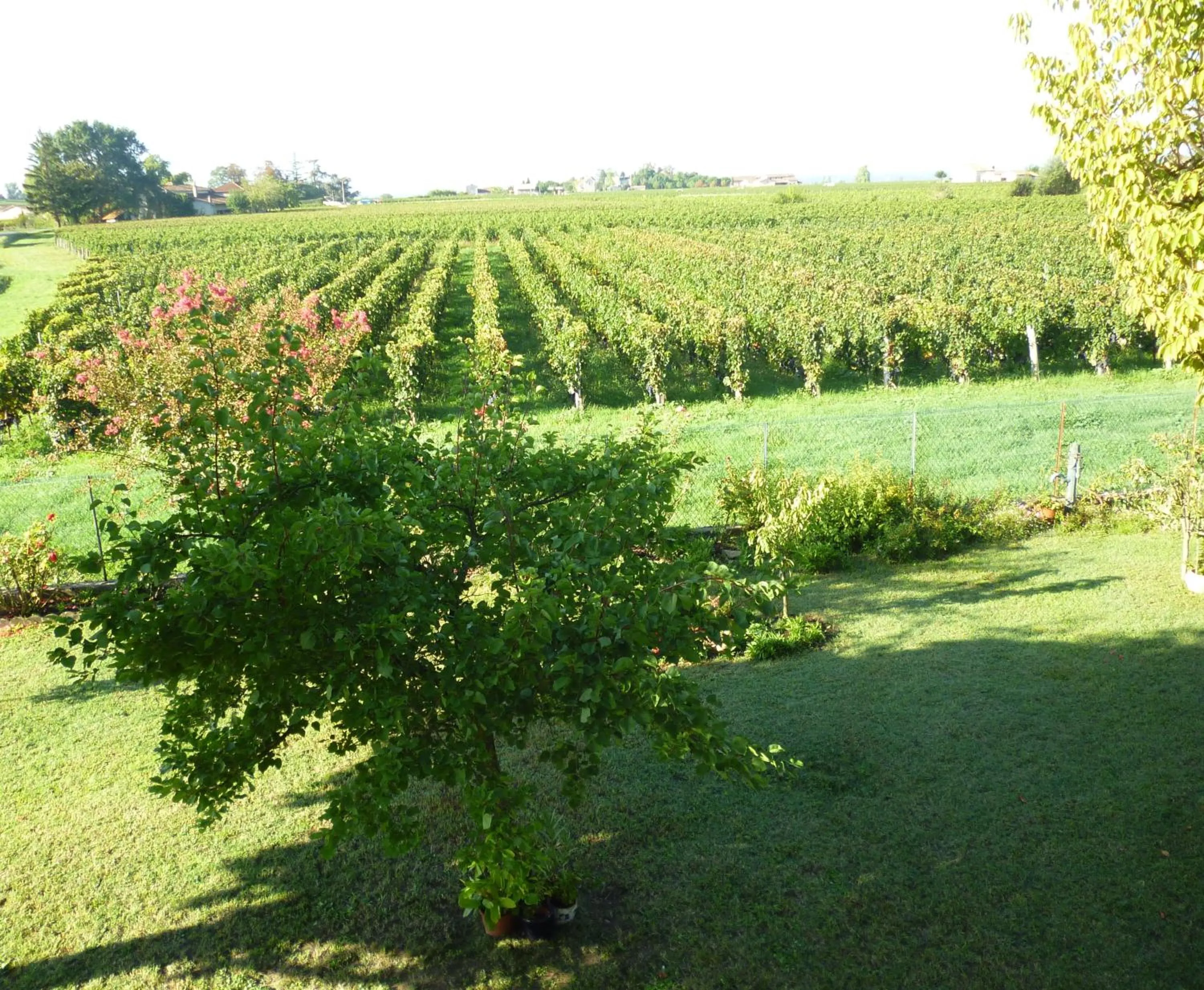 Natural landscape in Le Clos des Rosiers