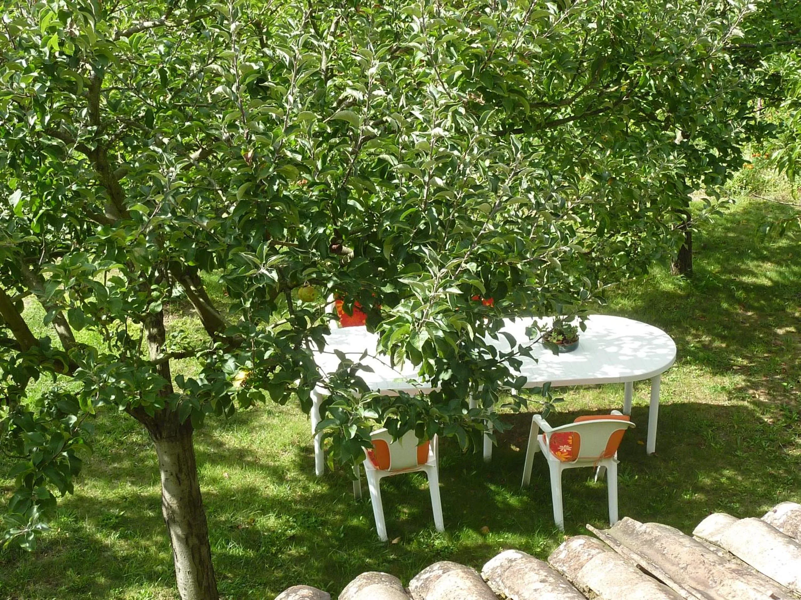 Garden in Le Clos des Rosiers