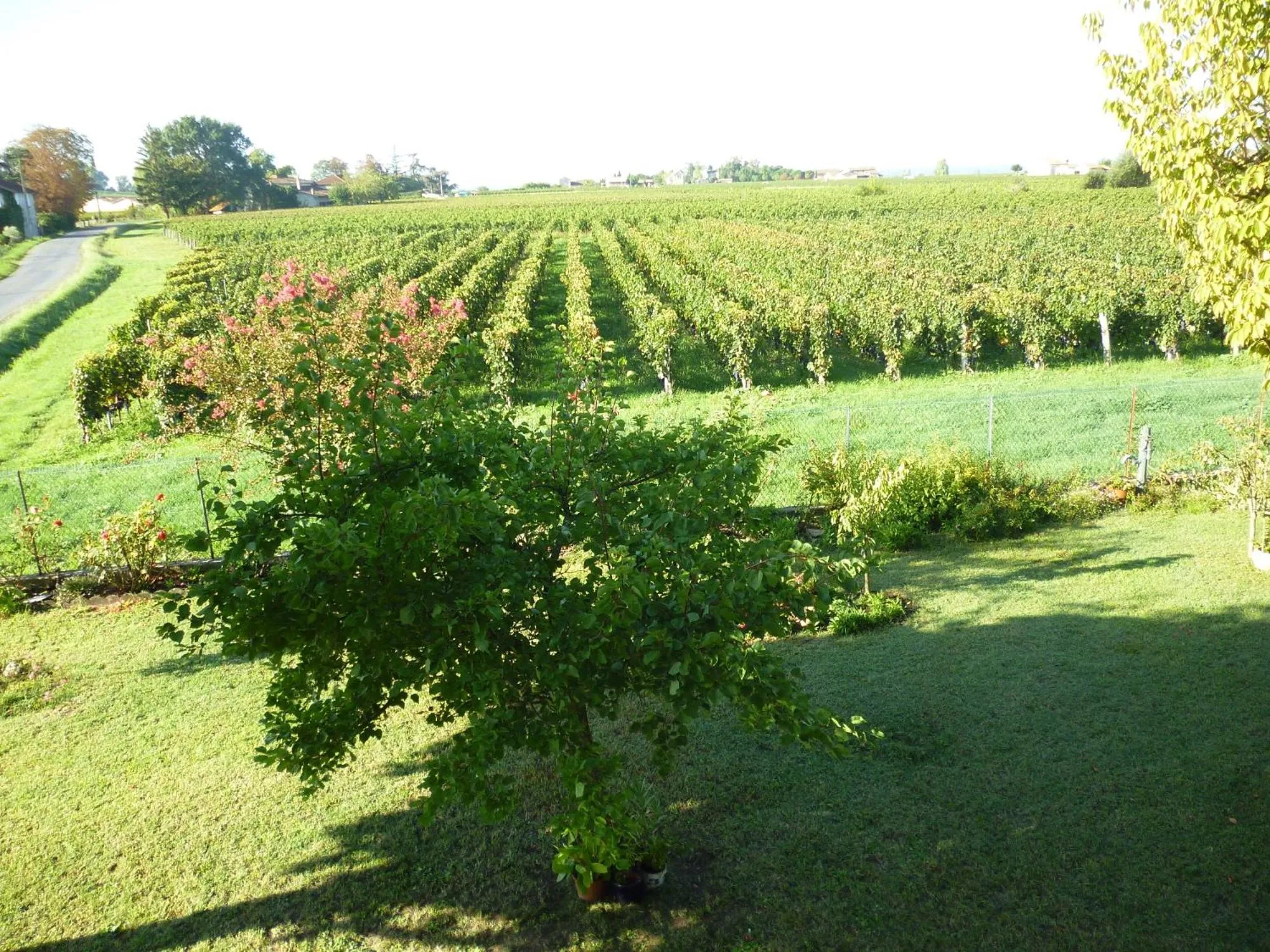 View (from property/room) in Le Clos des Rosiers