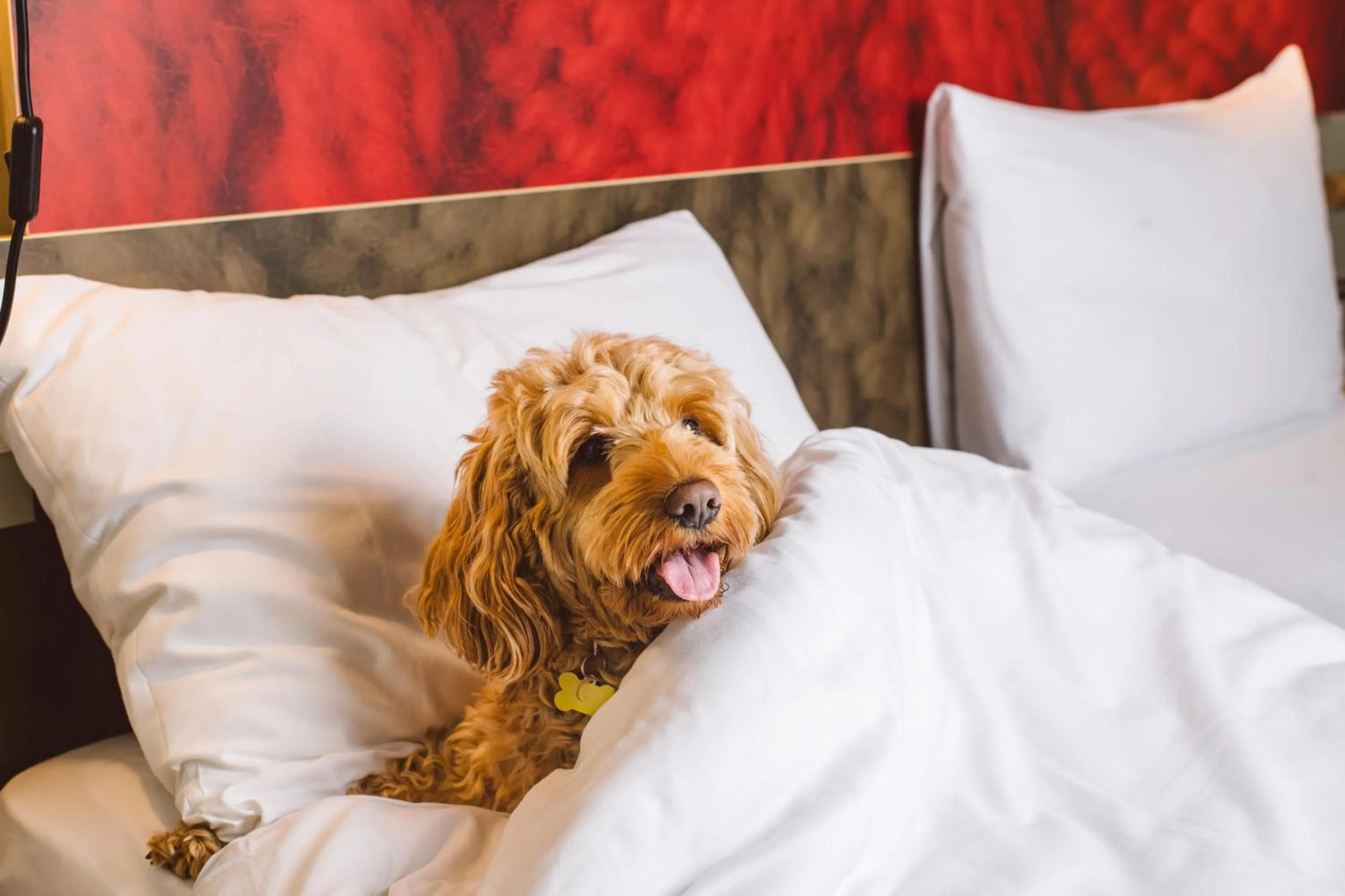 Bed in ibis London Excel-Docklands