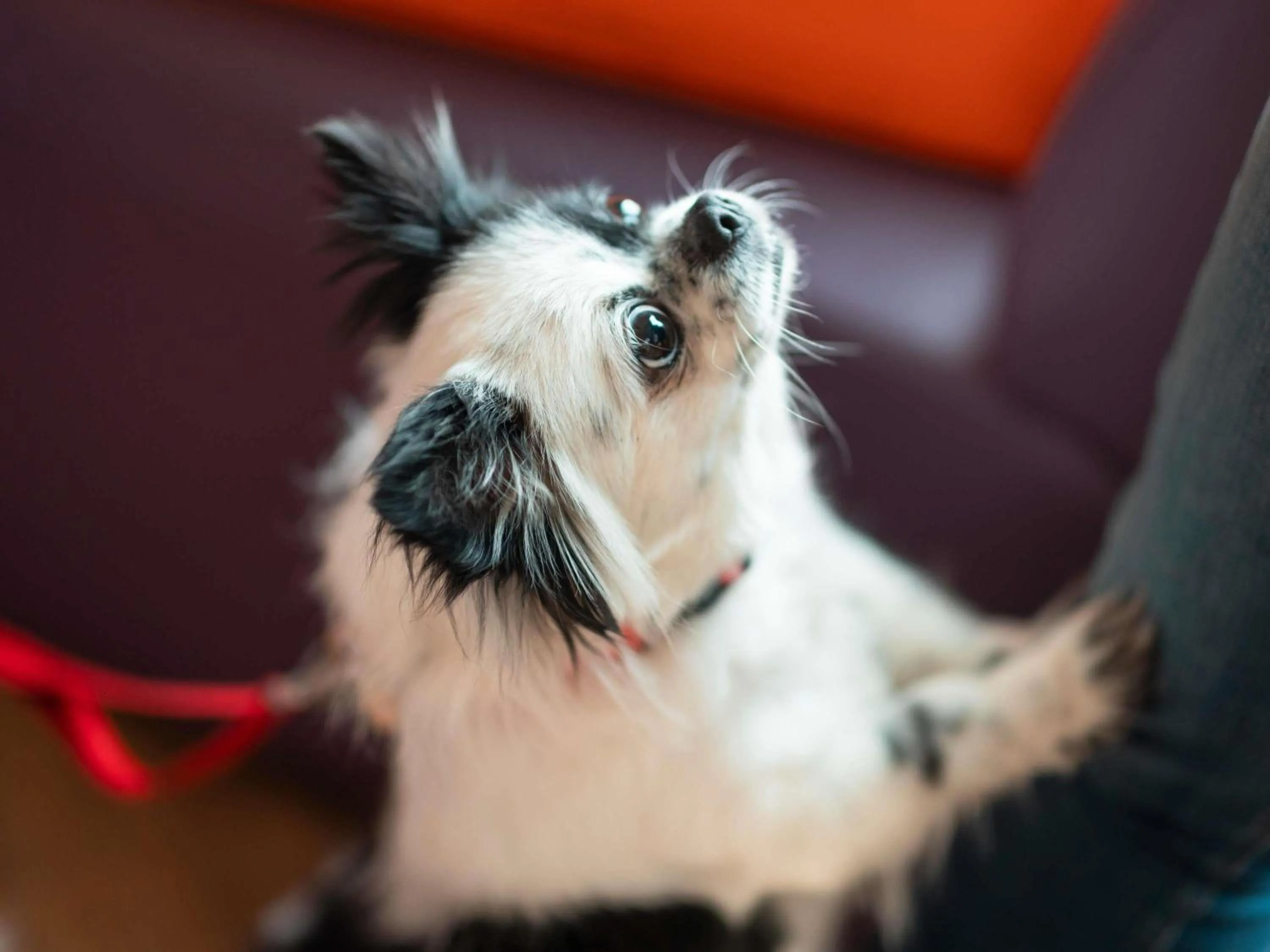 Other in ibis London Excel-Docklands