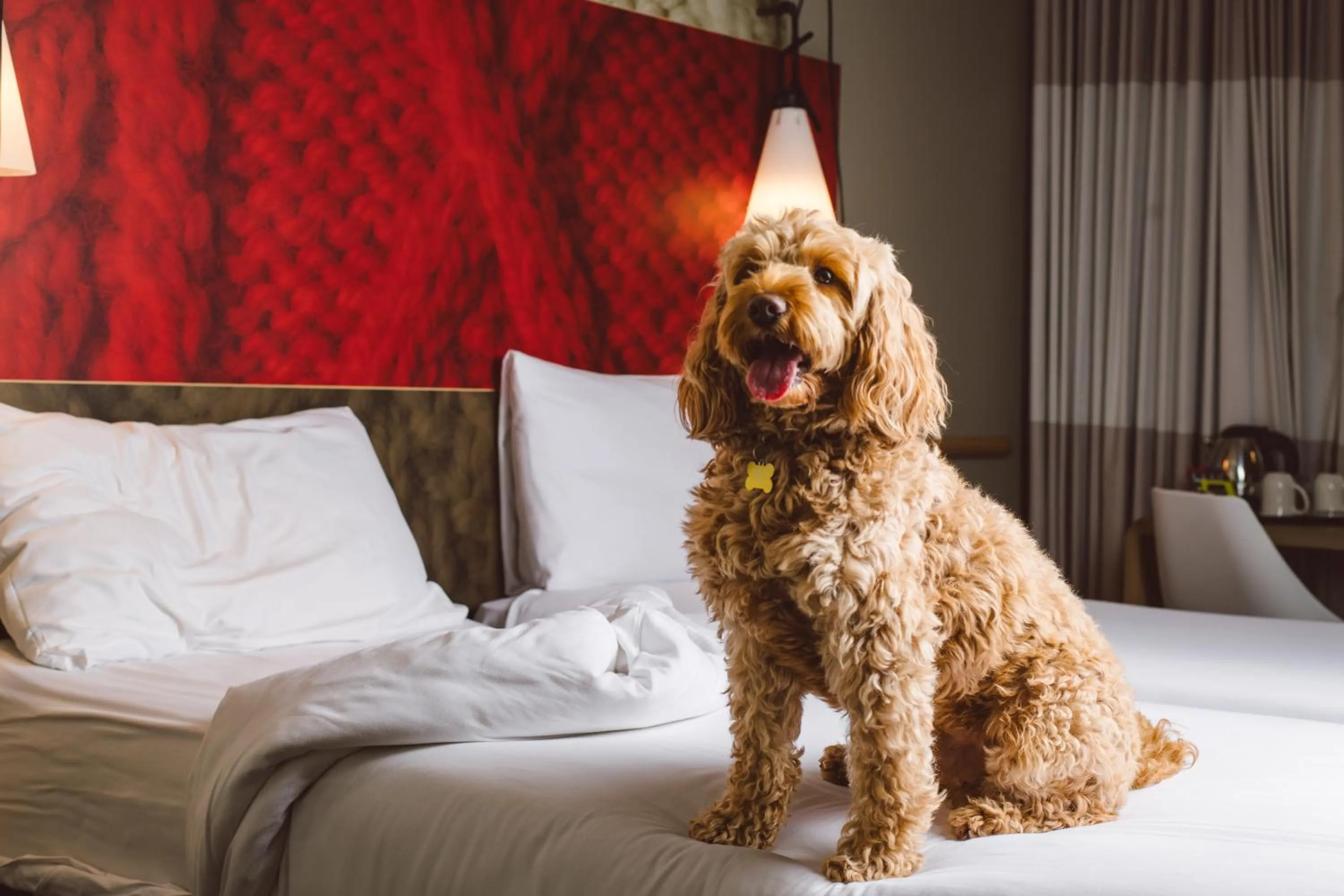 Bed in ibis London Excel-Docklands